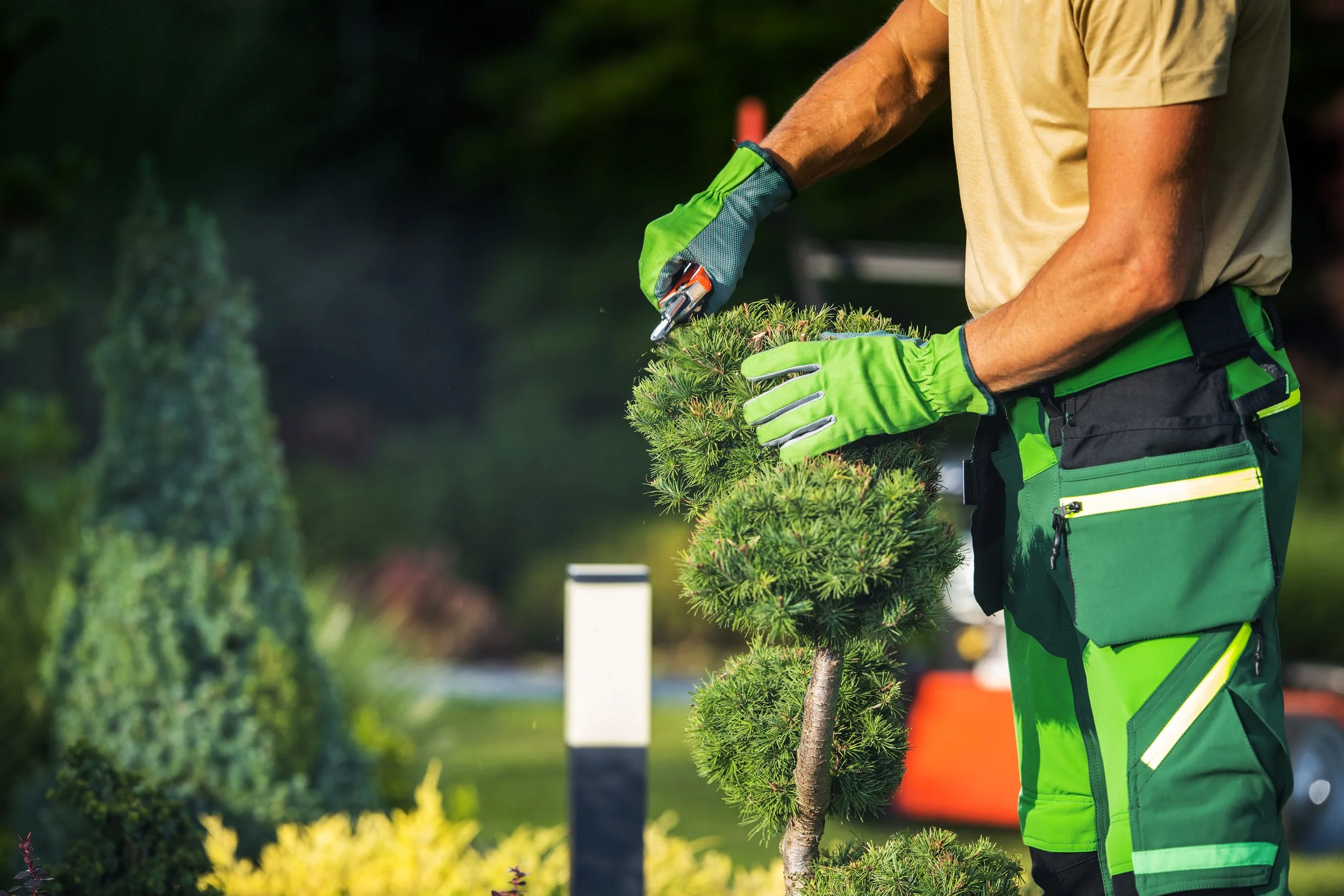 Pruning