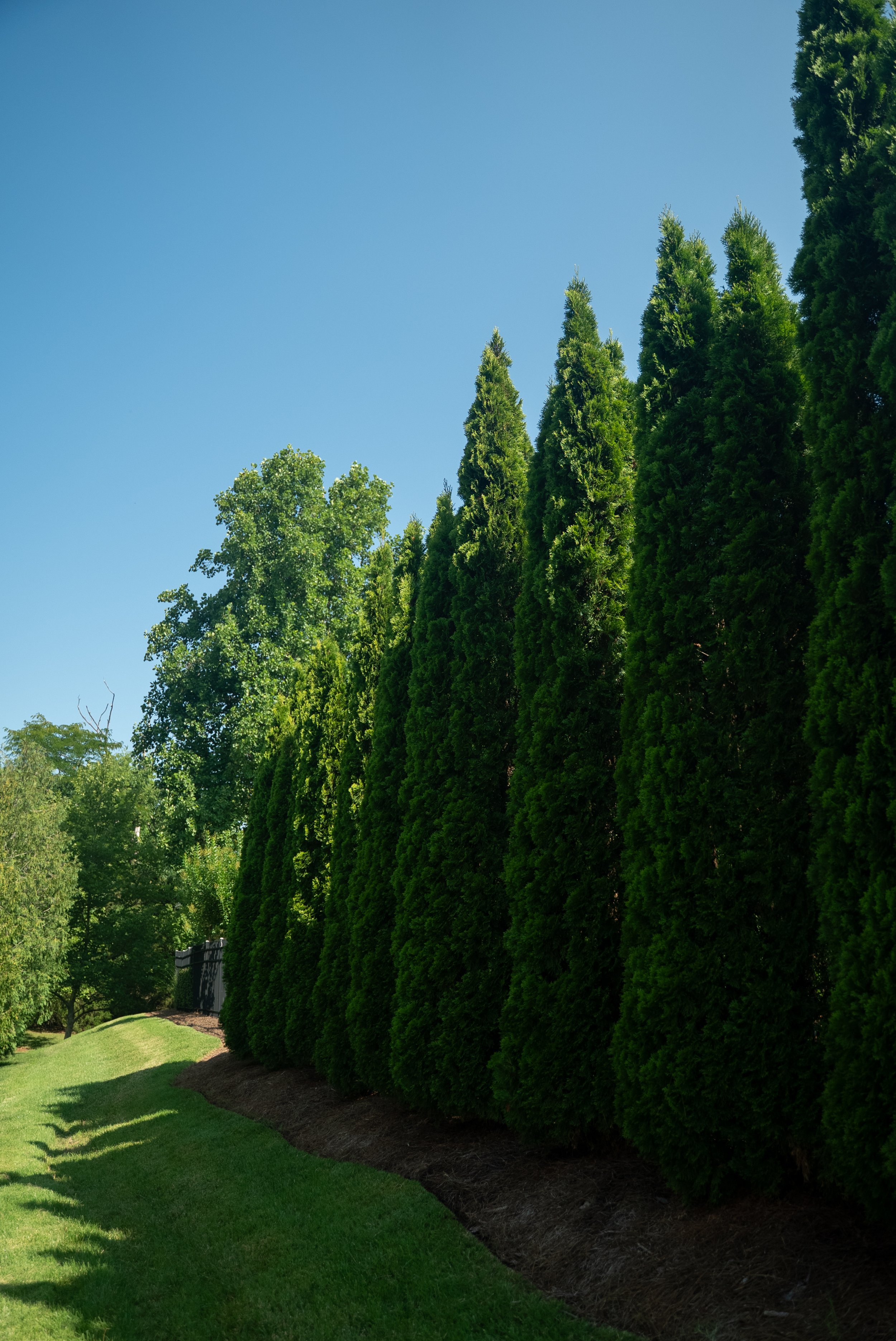 DSC09724.jpg