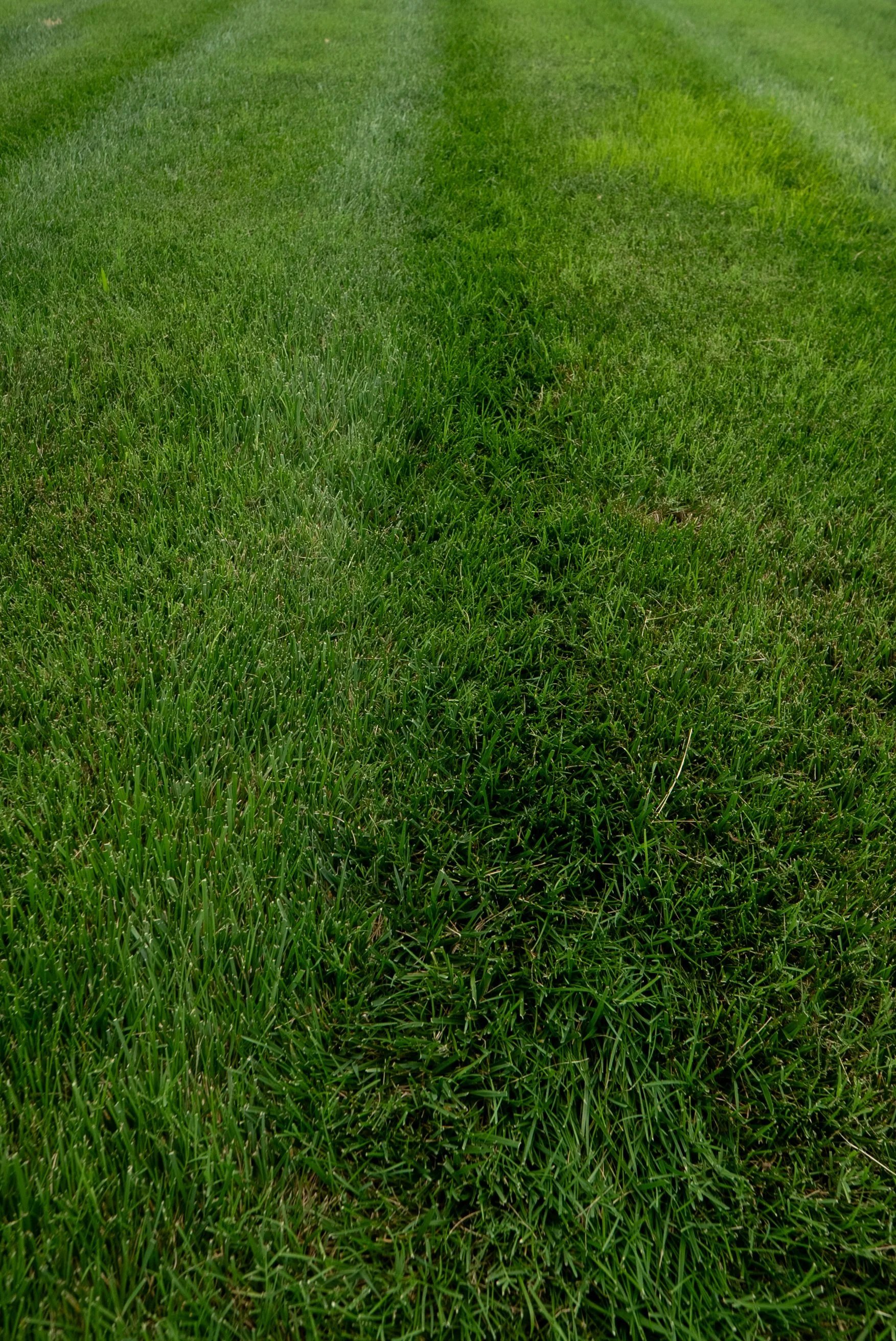 DSC09906.jpg