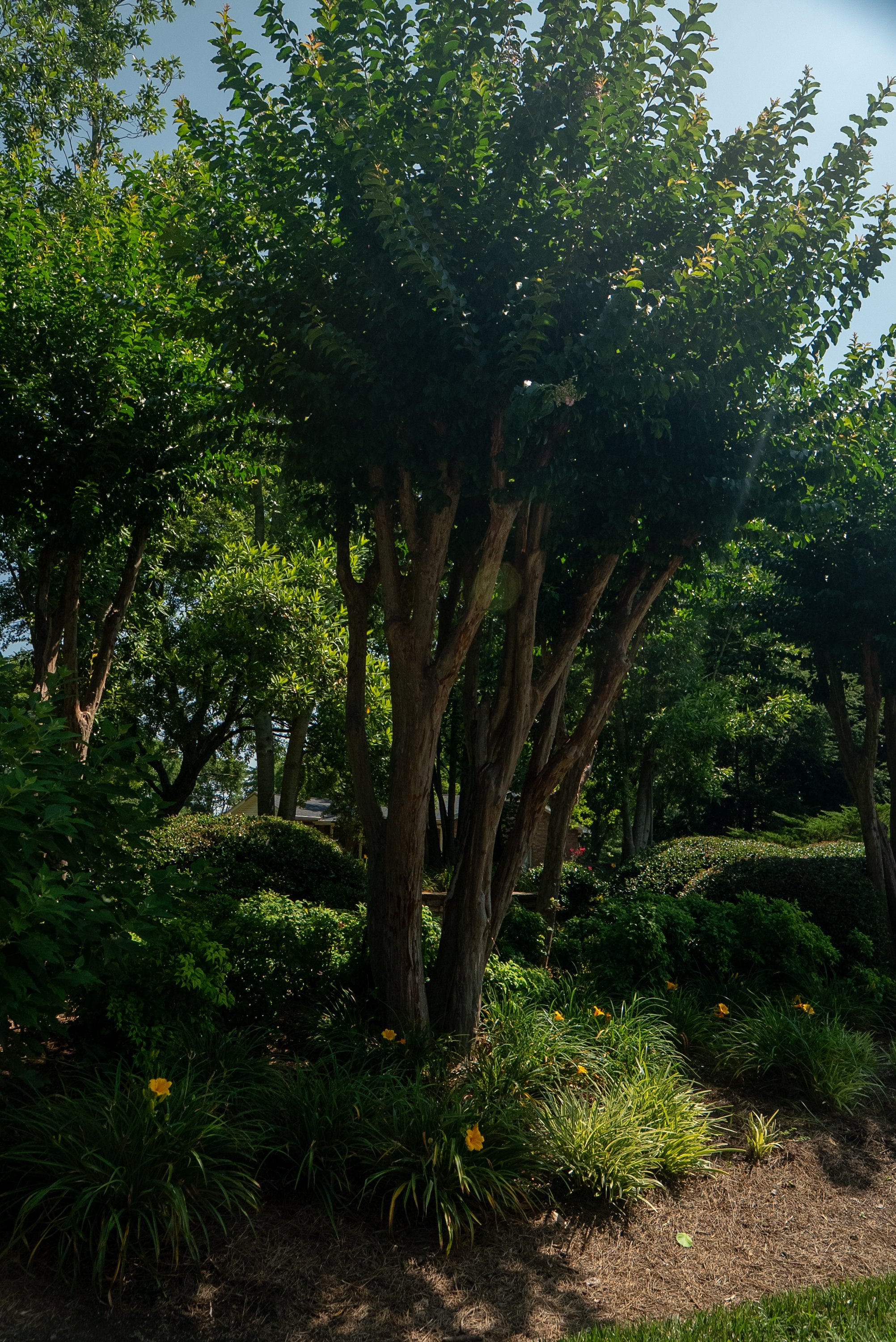 DSC09817.jpg