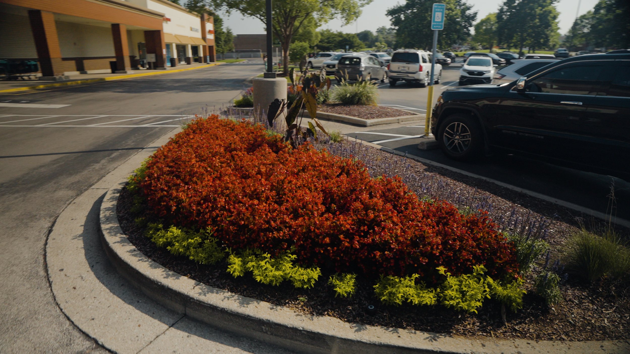 Publix Photo 1.png