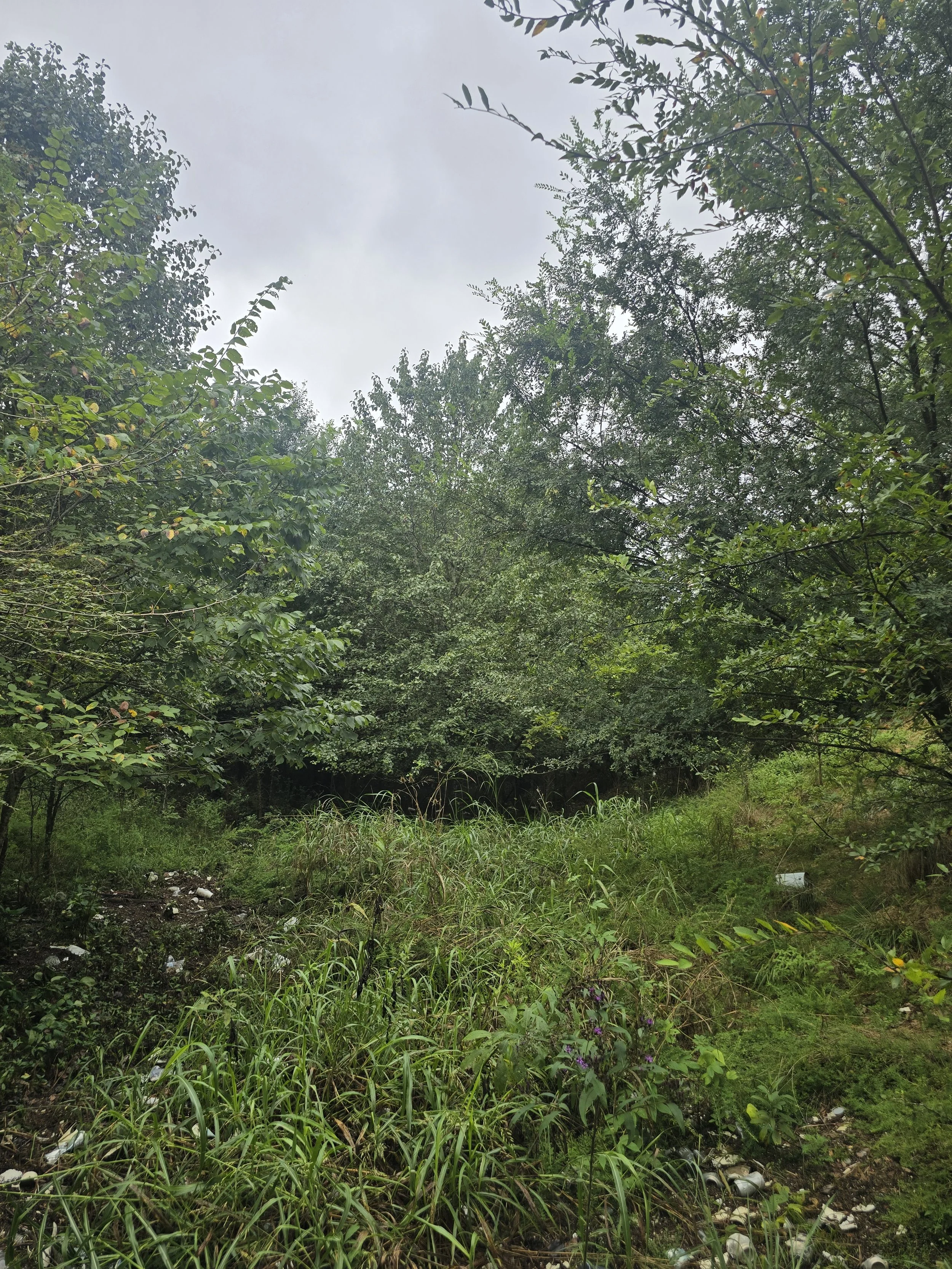 20240902_101547.jpg