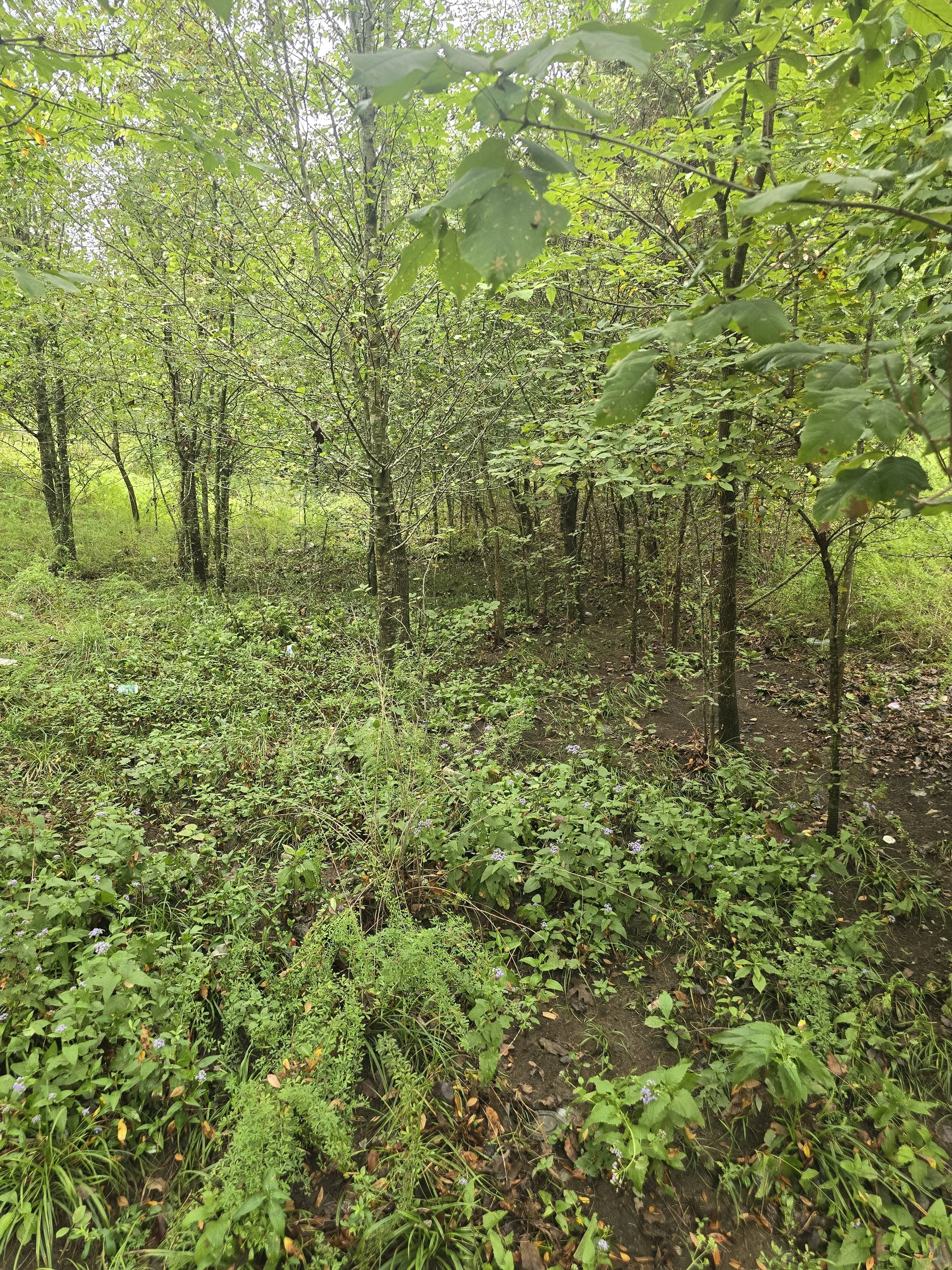20240902_101550.jpg