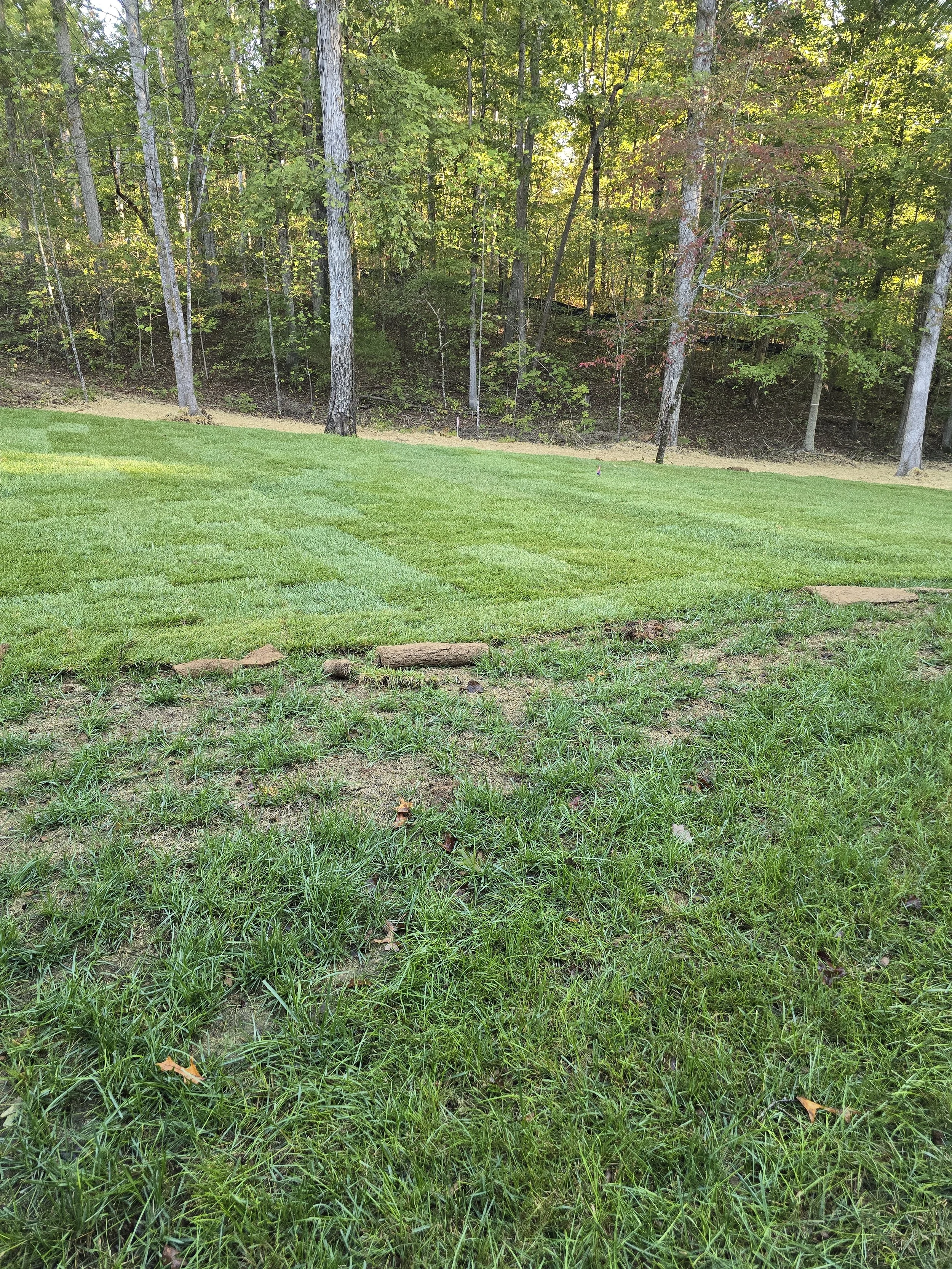 20251004_074946.jpg