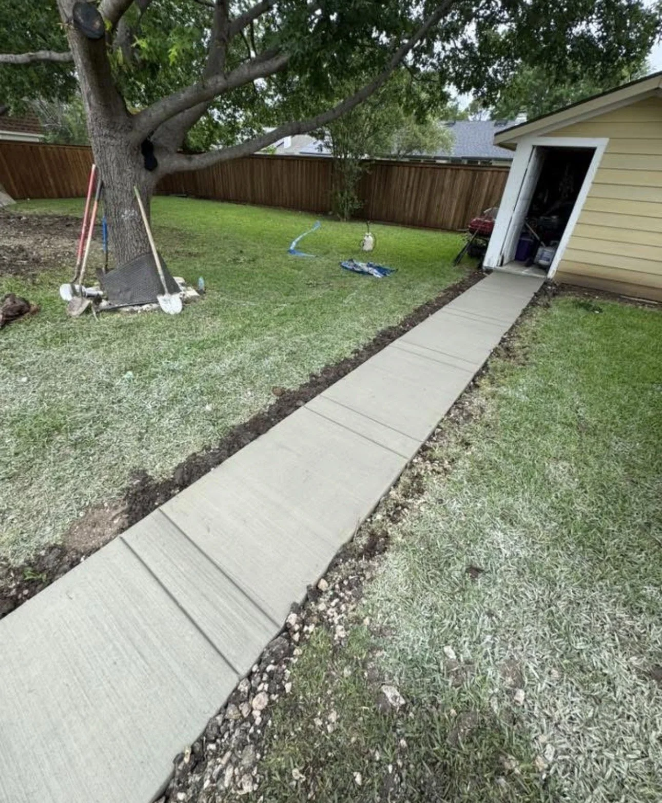 Freshly poured concrete sidewalk leading to a garage, with a large tree on the left and a wooden fence in the background.