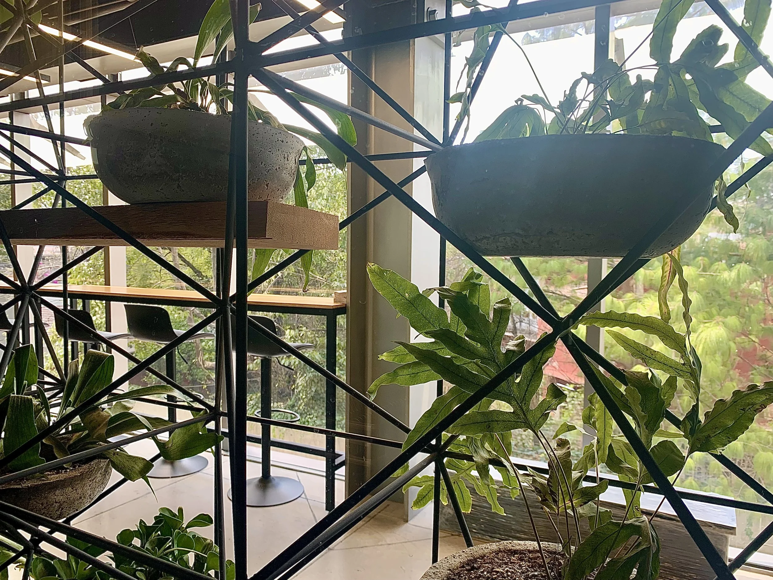 DETALLE DE TRIDILOSA Y JARDINERAS.jpg