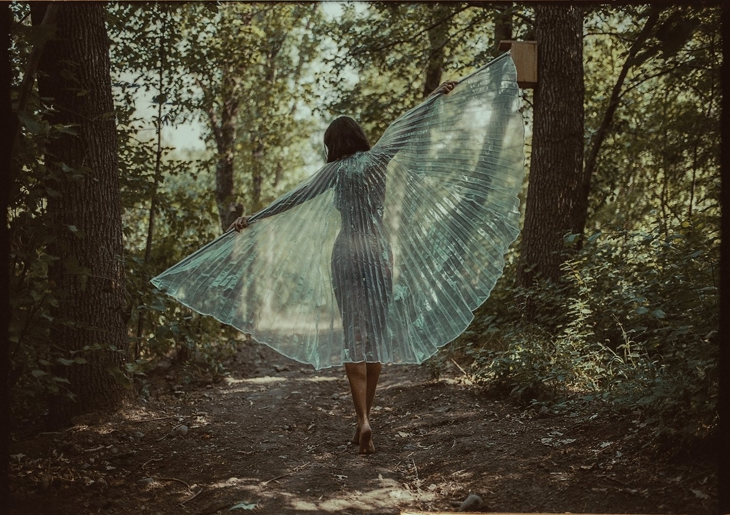 img999.jpg