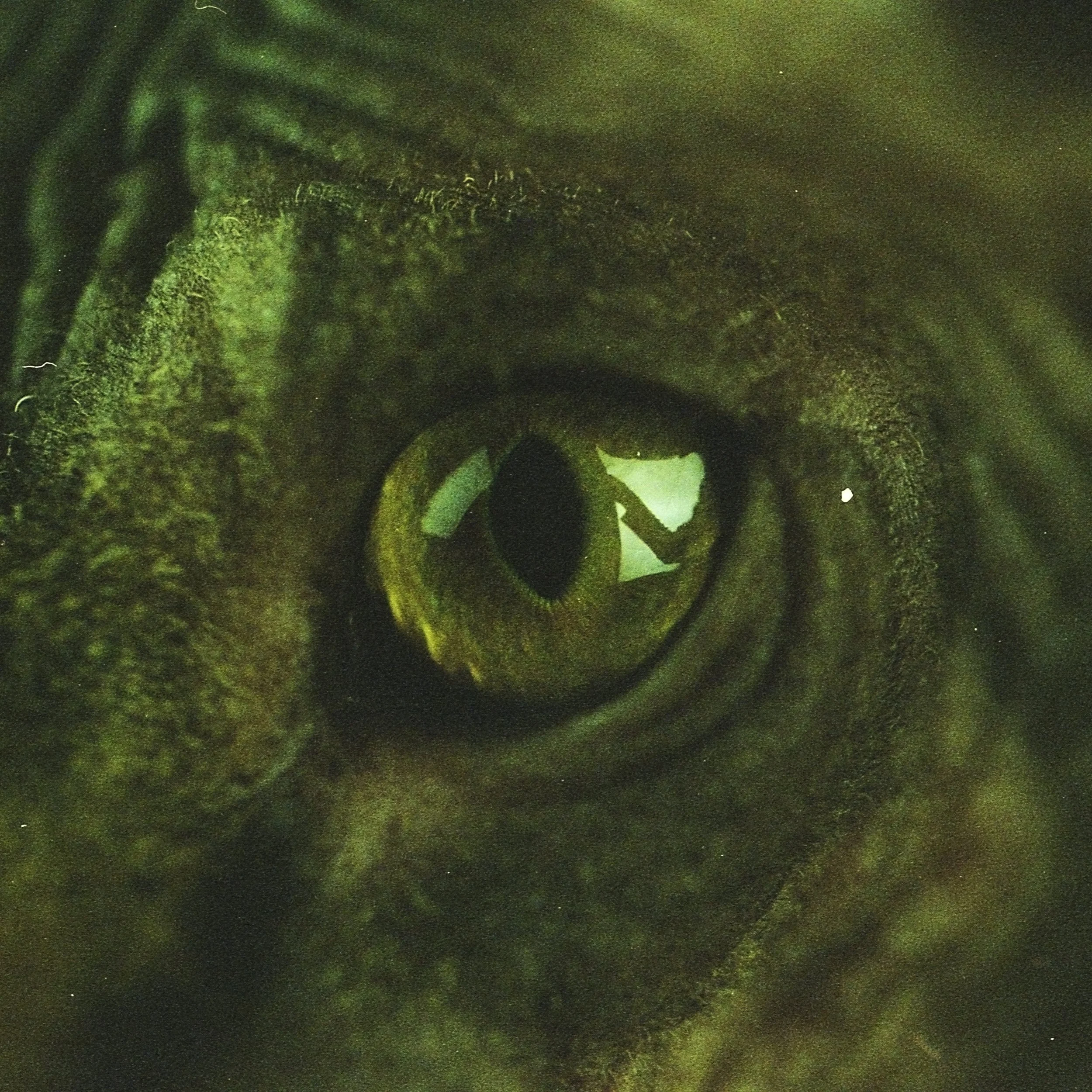 img4982.jpg