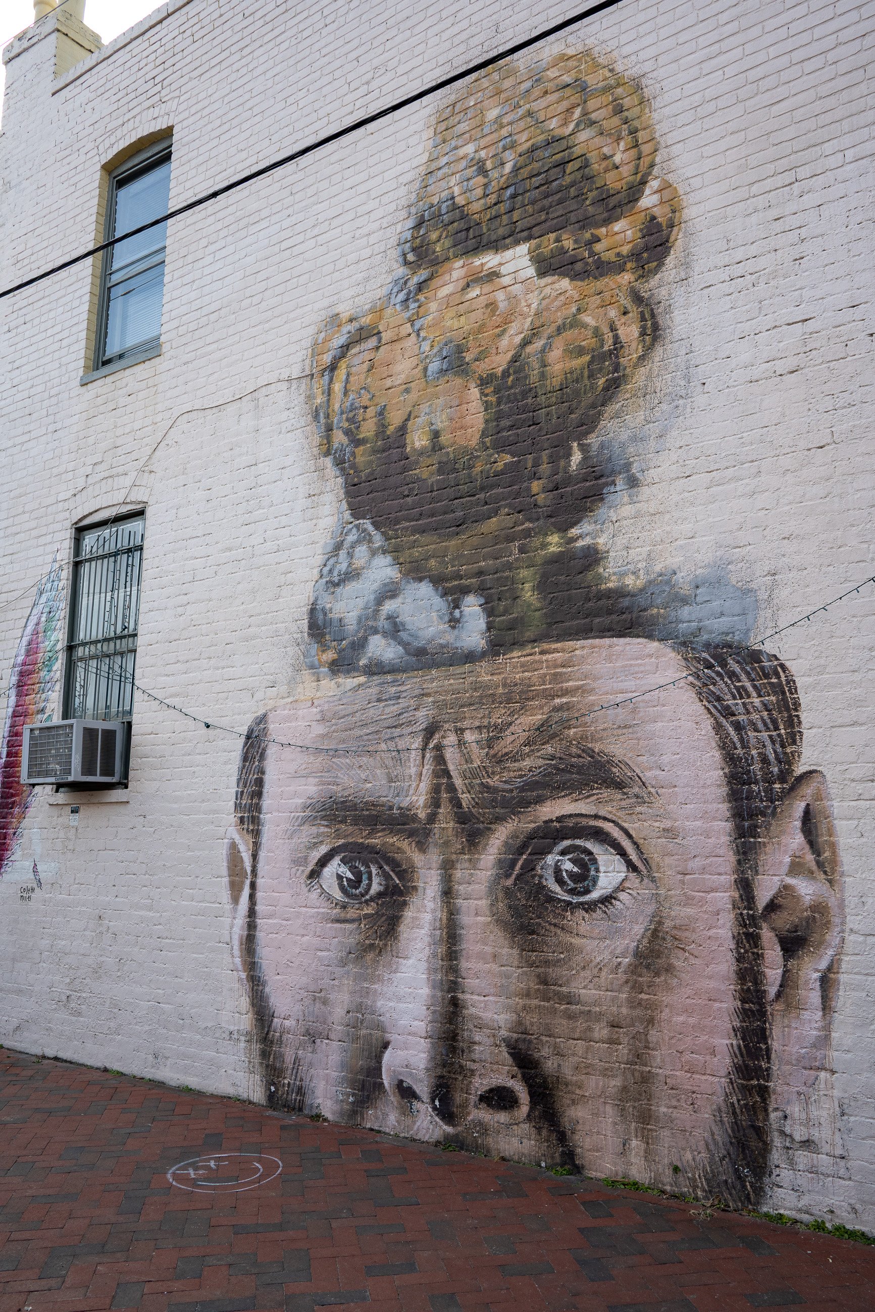 20250222-DSC_2513.jpg