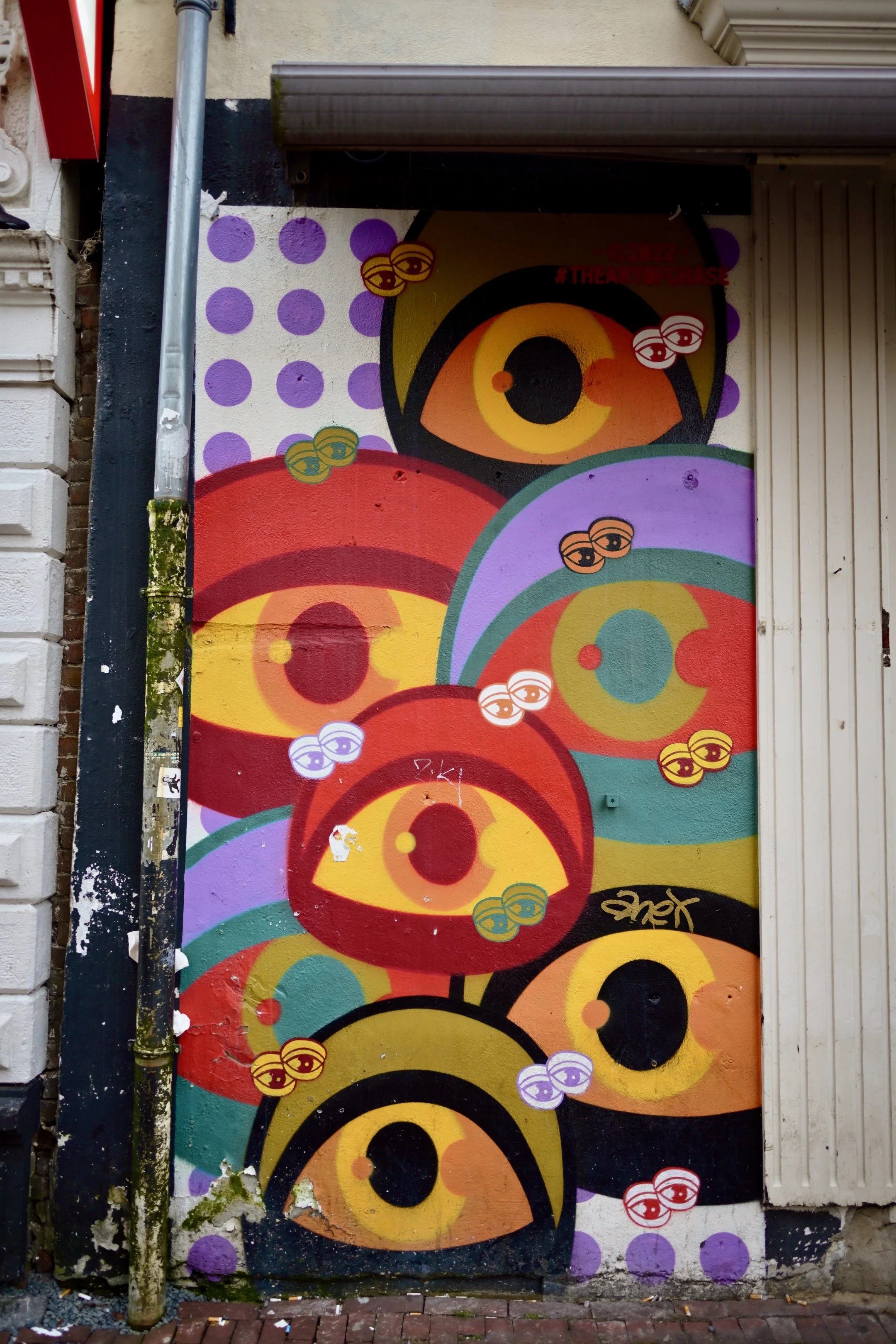 DSC_2451.jpeg