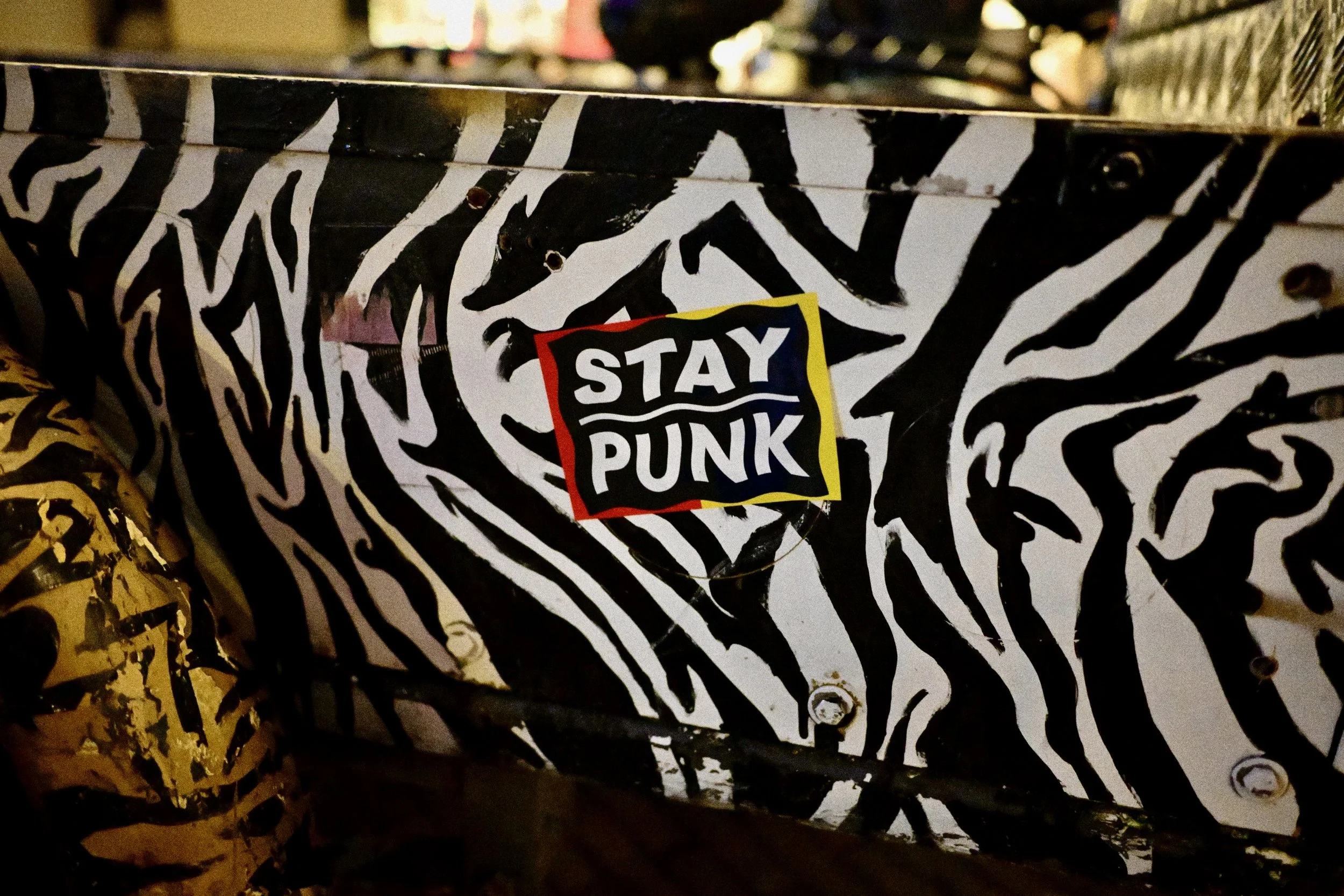 DSC_2668.jpeg