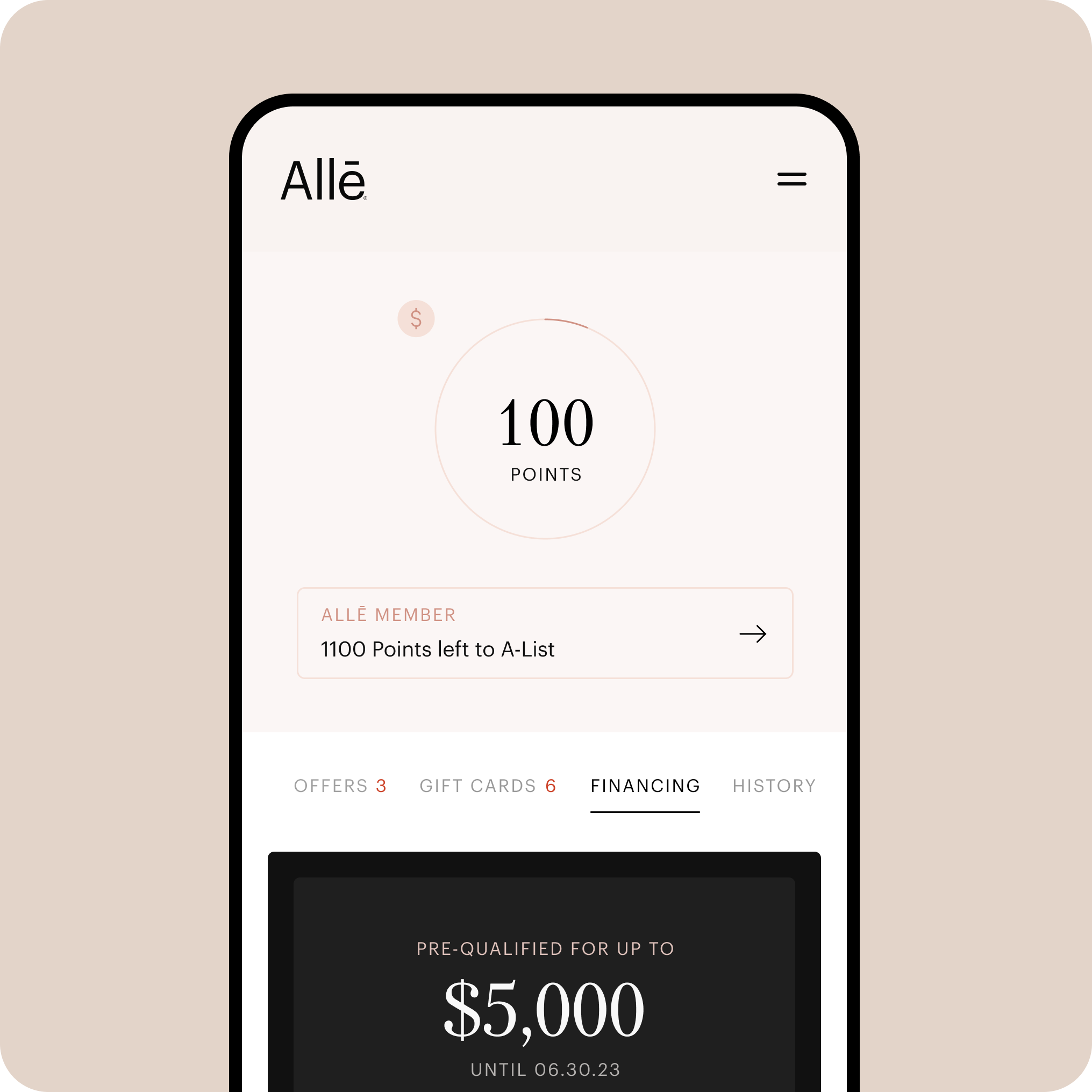 ALLE - Consumer Example 1.png