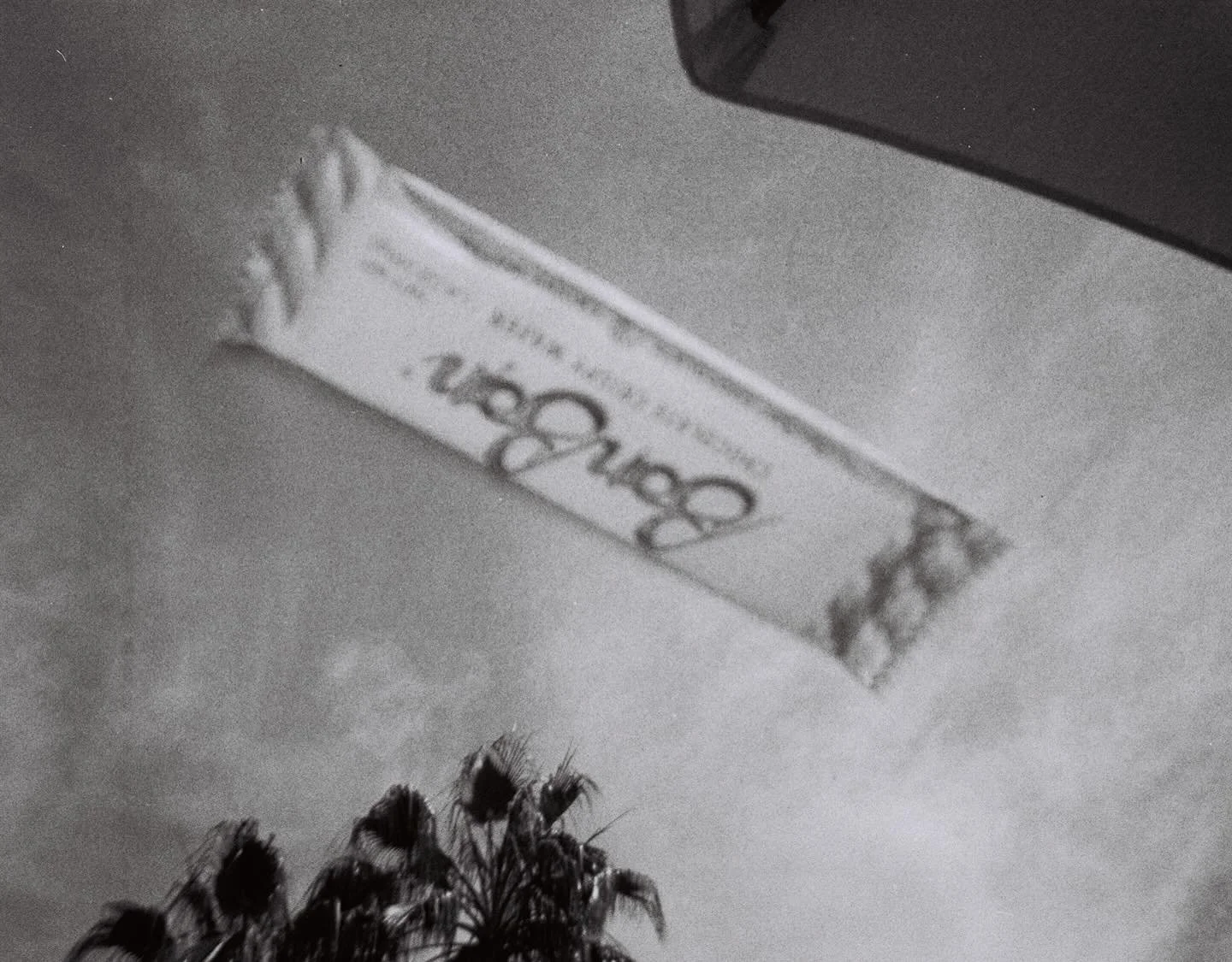 I left a candy fair in Anaheim and spoke in length about Mexico with my taxi driver that was from there on our way to LAX, it made me miss it.

From the airplane window I saw Los Angeles from above, the beach, all the houses and the sea.

Later the s