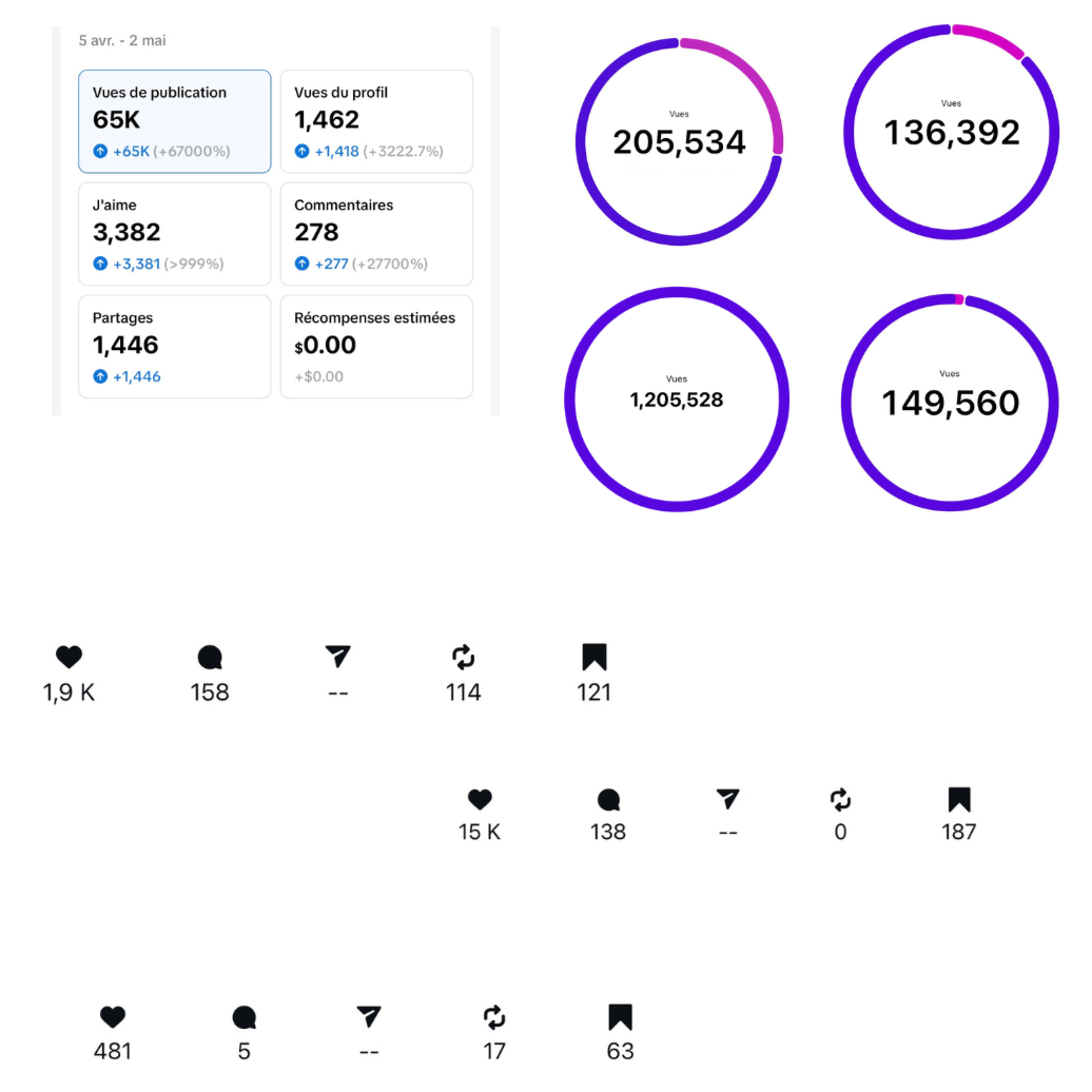 Capture d'écran d'un tableau de statistiques sur les réseaux sociaux, incluant les nombres de vues, de likes, de commentaires et de partages, avec des graphiques circulaires illustrant ces chiffres.
