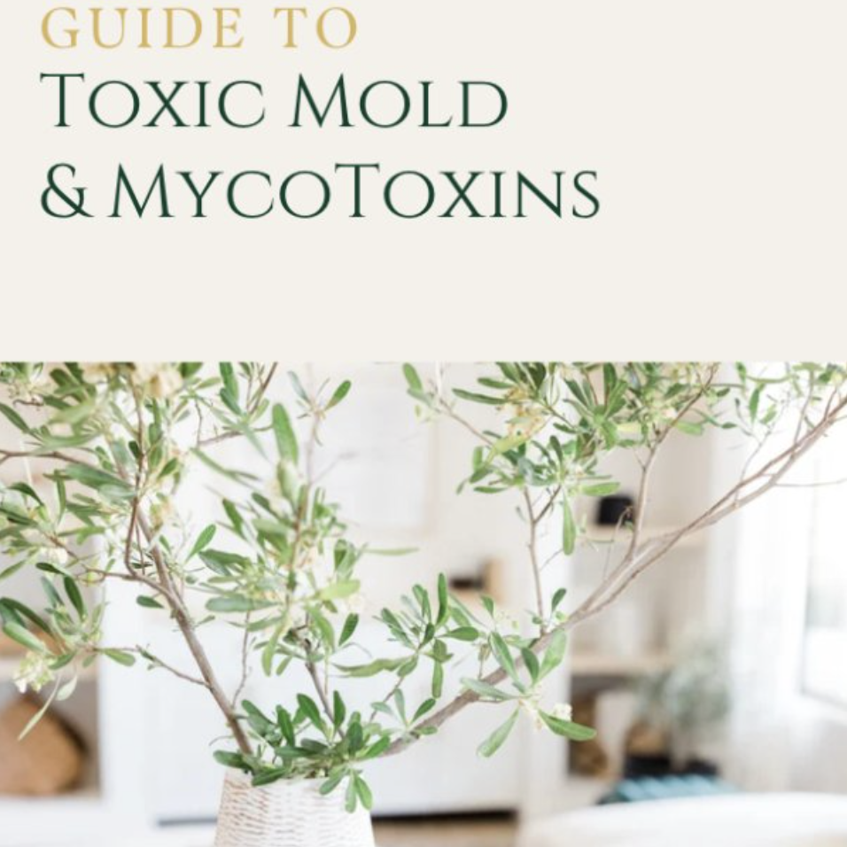 Informational Guide to Toxic Mold & Mycotoxins