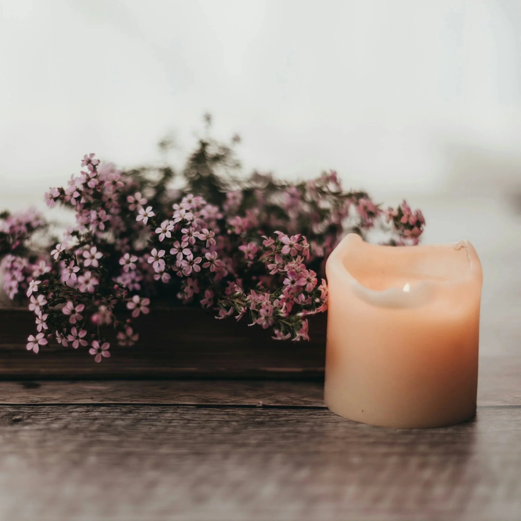 Close-up of a small flower arrangement with pink blossoms in a beige candleholder, placed on a wooden surface with a light gray background, representing support for widows.