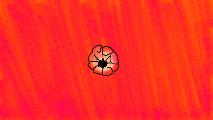 blooming-flower.gif