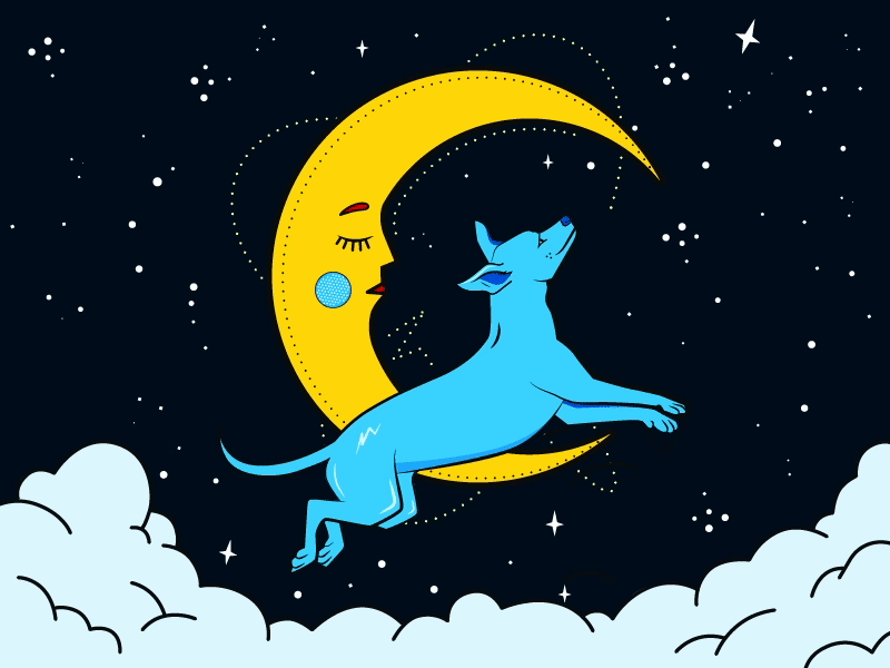 over-the-moon.gif