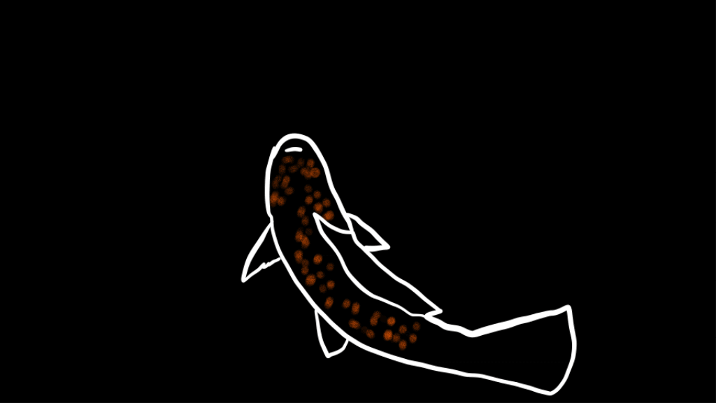 koifish.gif