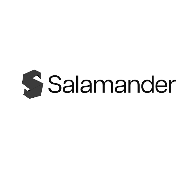 Recent Pinpoint PR Customer -  Salamander Advisory