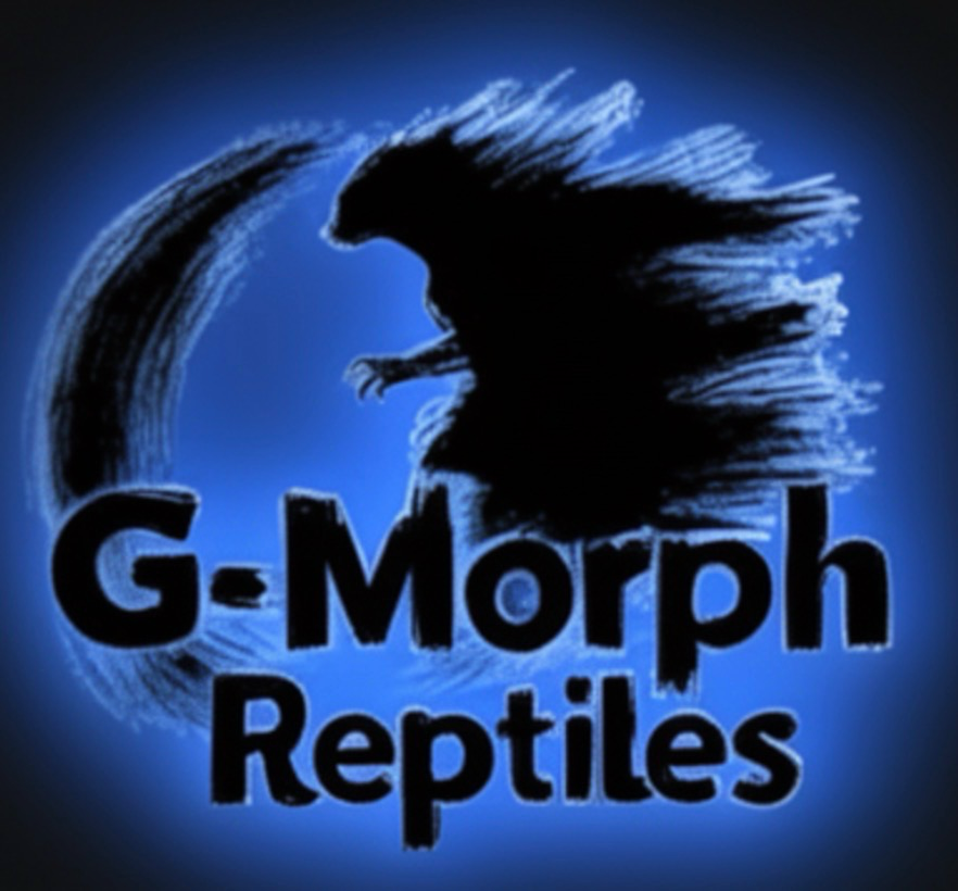 G Morph Reptiles