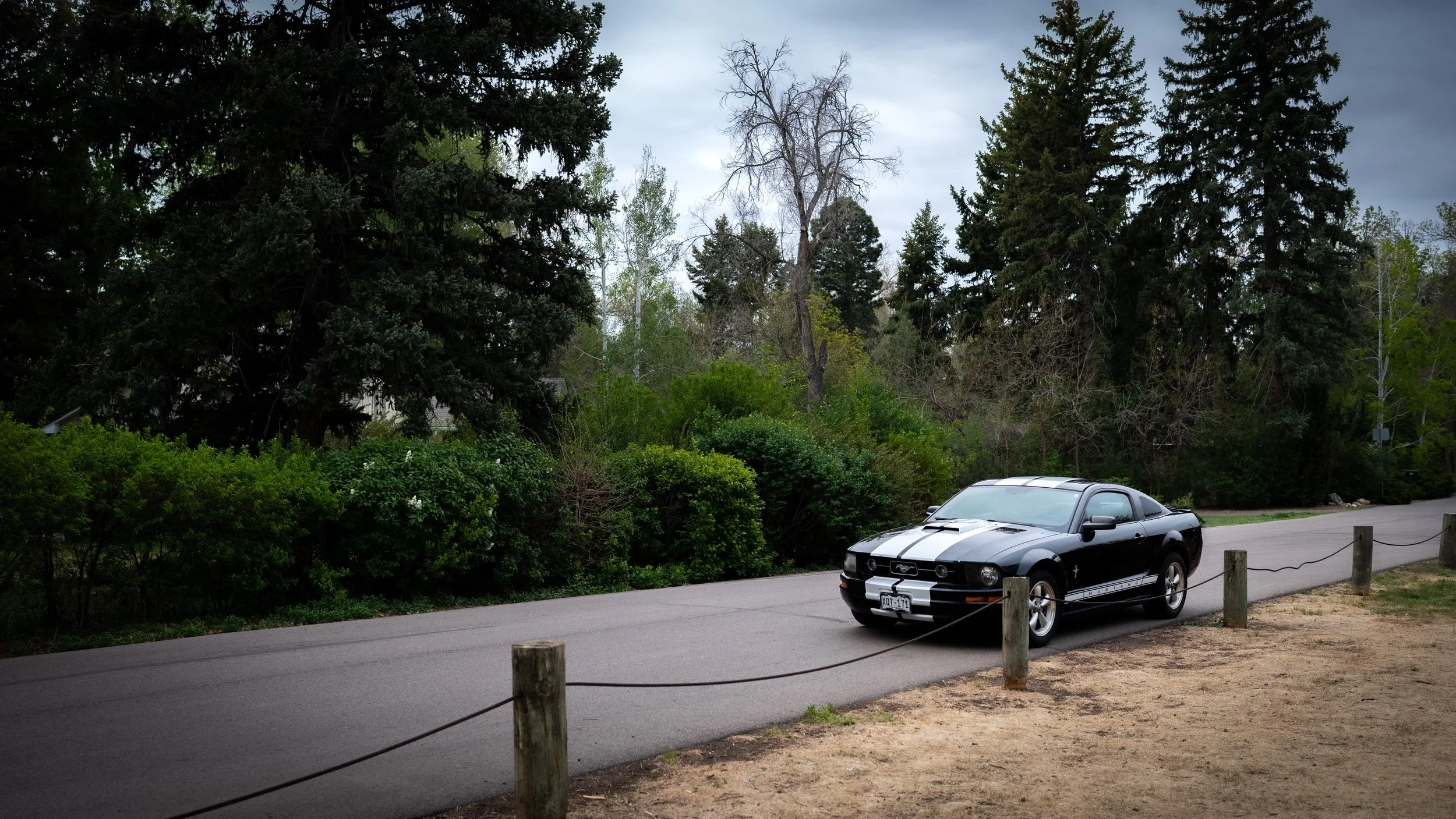 A black Ford Mustang convertible parked on the side of a paved road near a lush green area with tall trees and bushes. The sky is cloudy.