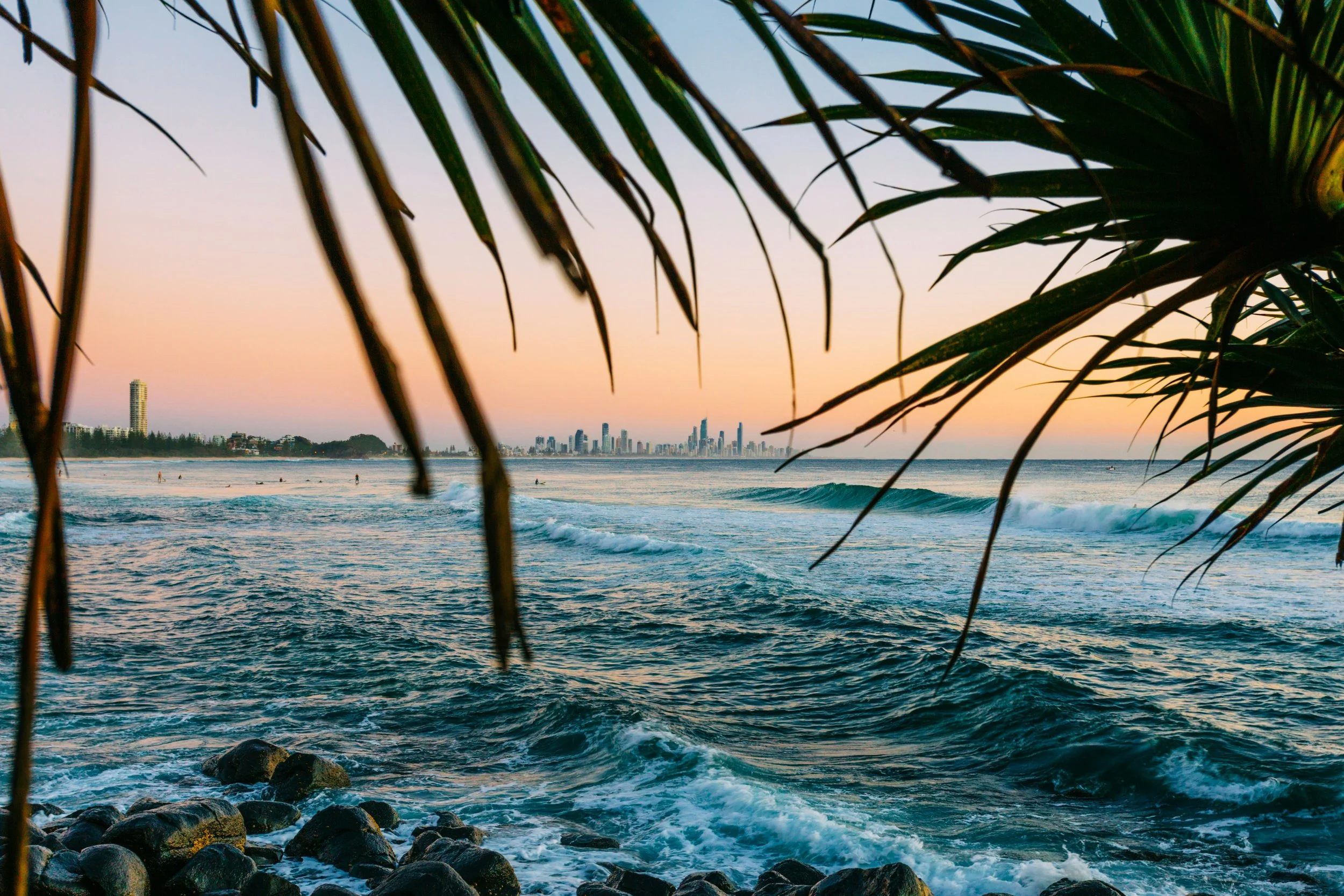 Beach scene during sunset with palm tree branches in the foreground, a city skyline in the distance, and ocean waves crashing onto rocks.