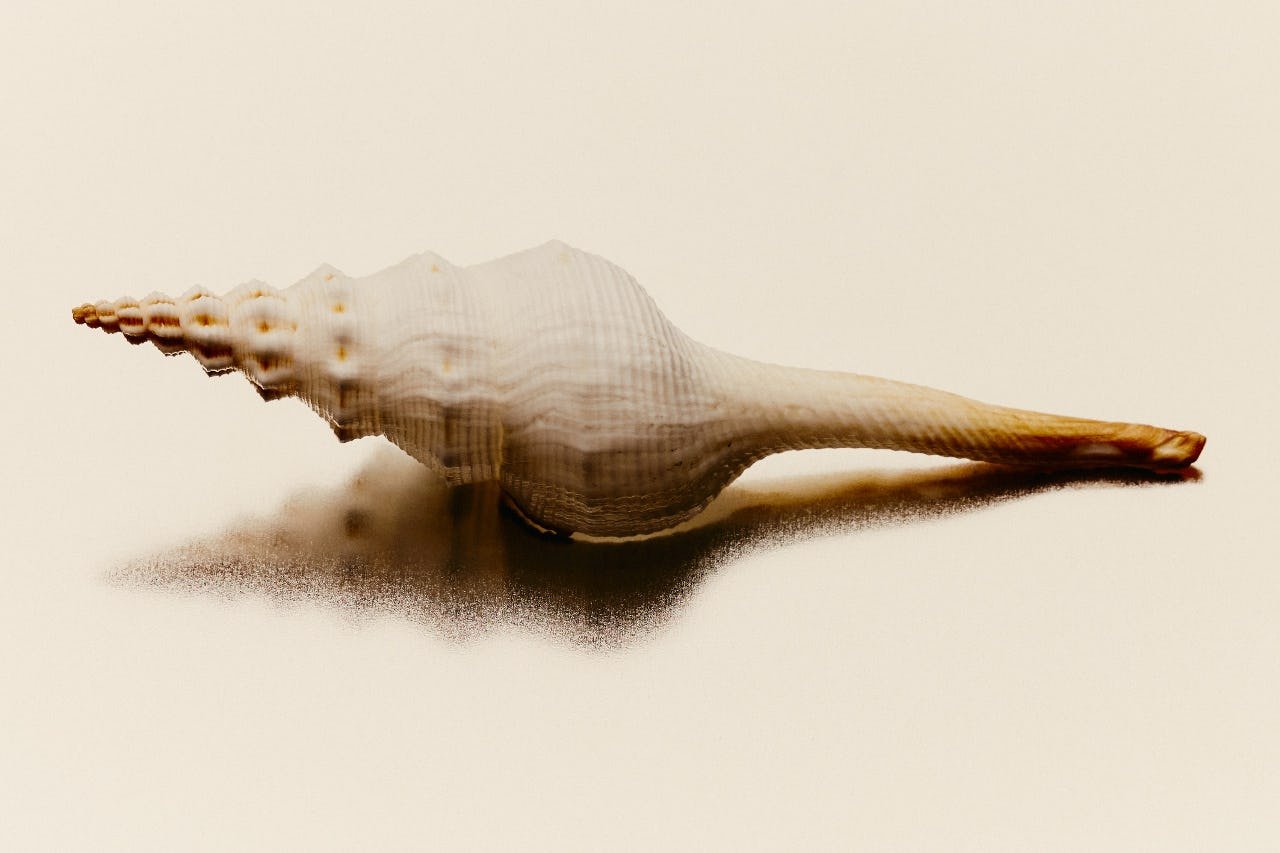 DTS_RAW_ELEMENT_Daniel_Farò_Photo_ID12874.jpg
