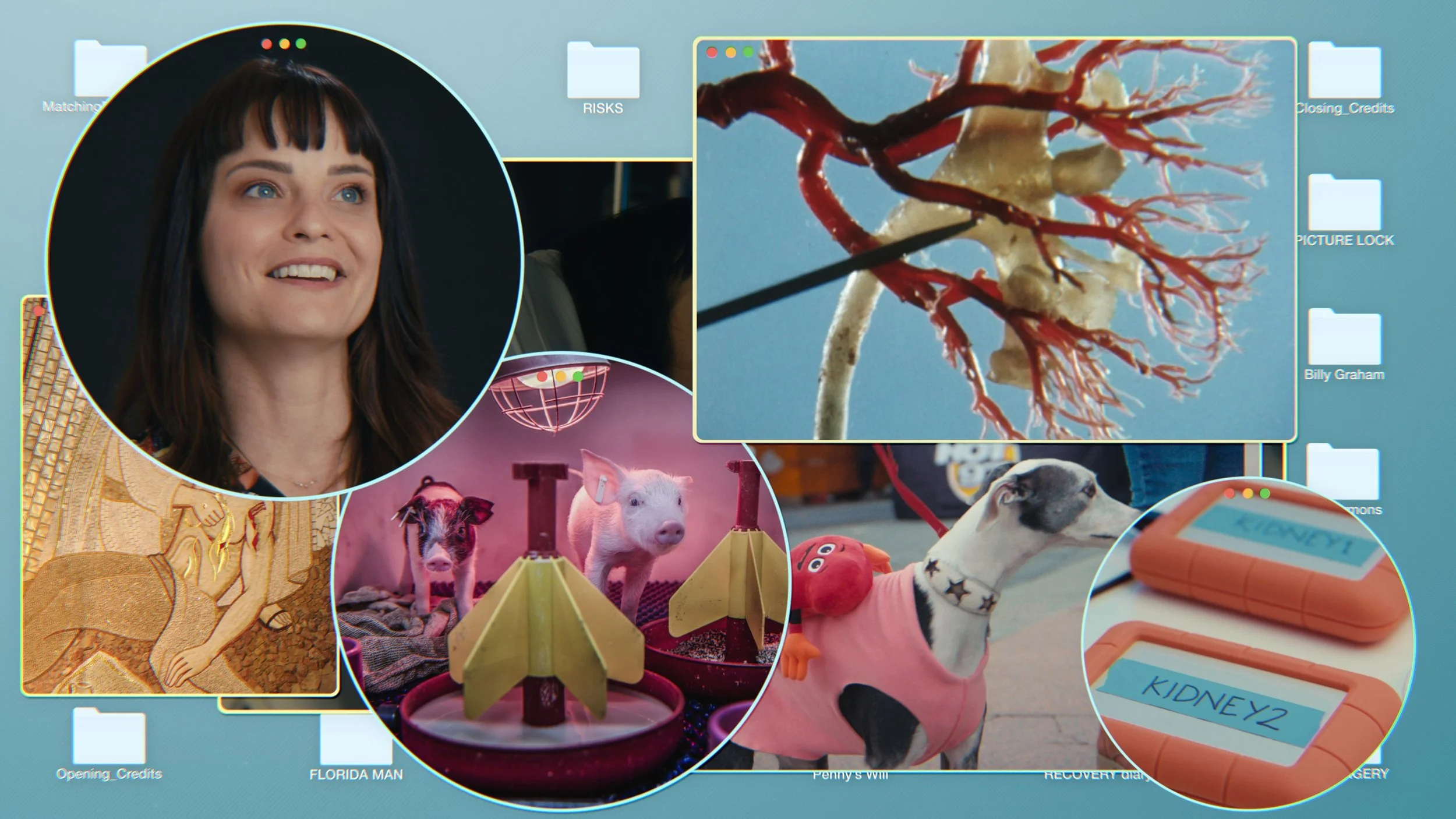 Collage of various images including a woman with dark hair, a heart model with arteries, pigs, a dog wearing a pink shirt and folders on a computer desktop. Confessions of a Good Samaritan documentary.