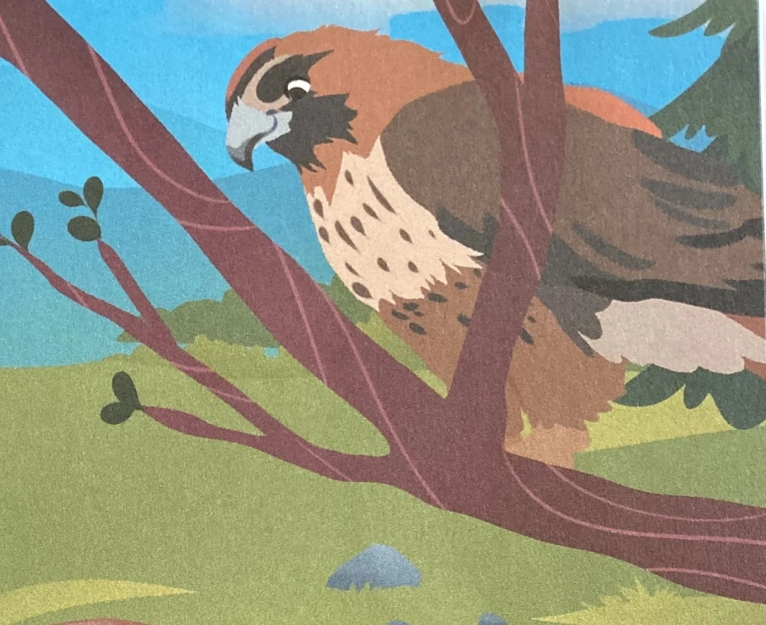 Illustration of a red-tailed hawk perched on a tree branch with green foliage and a blue sky in the background.