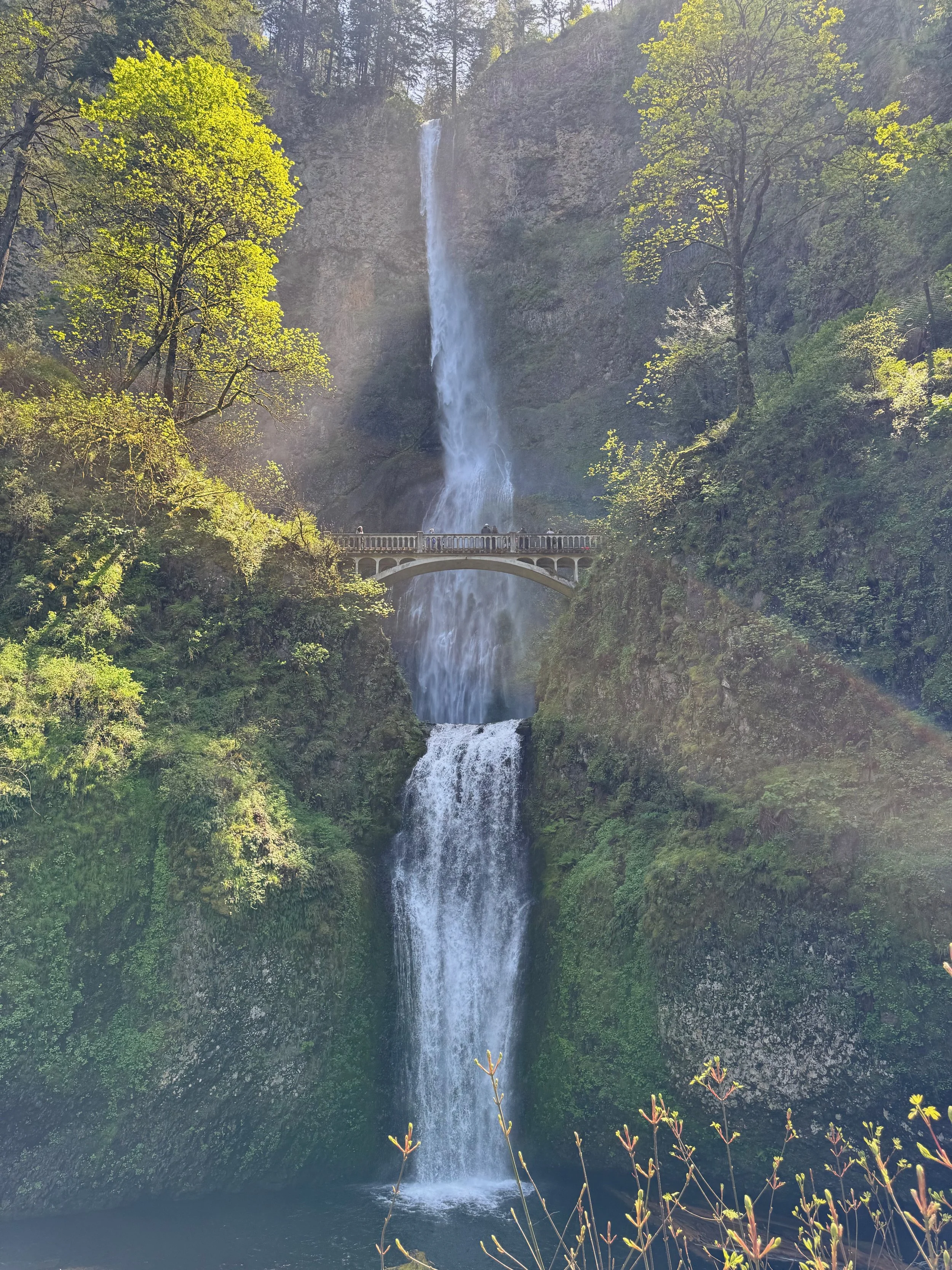 IMG_3512.jpeg
