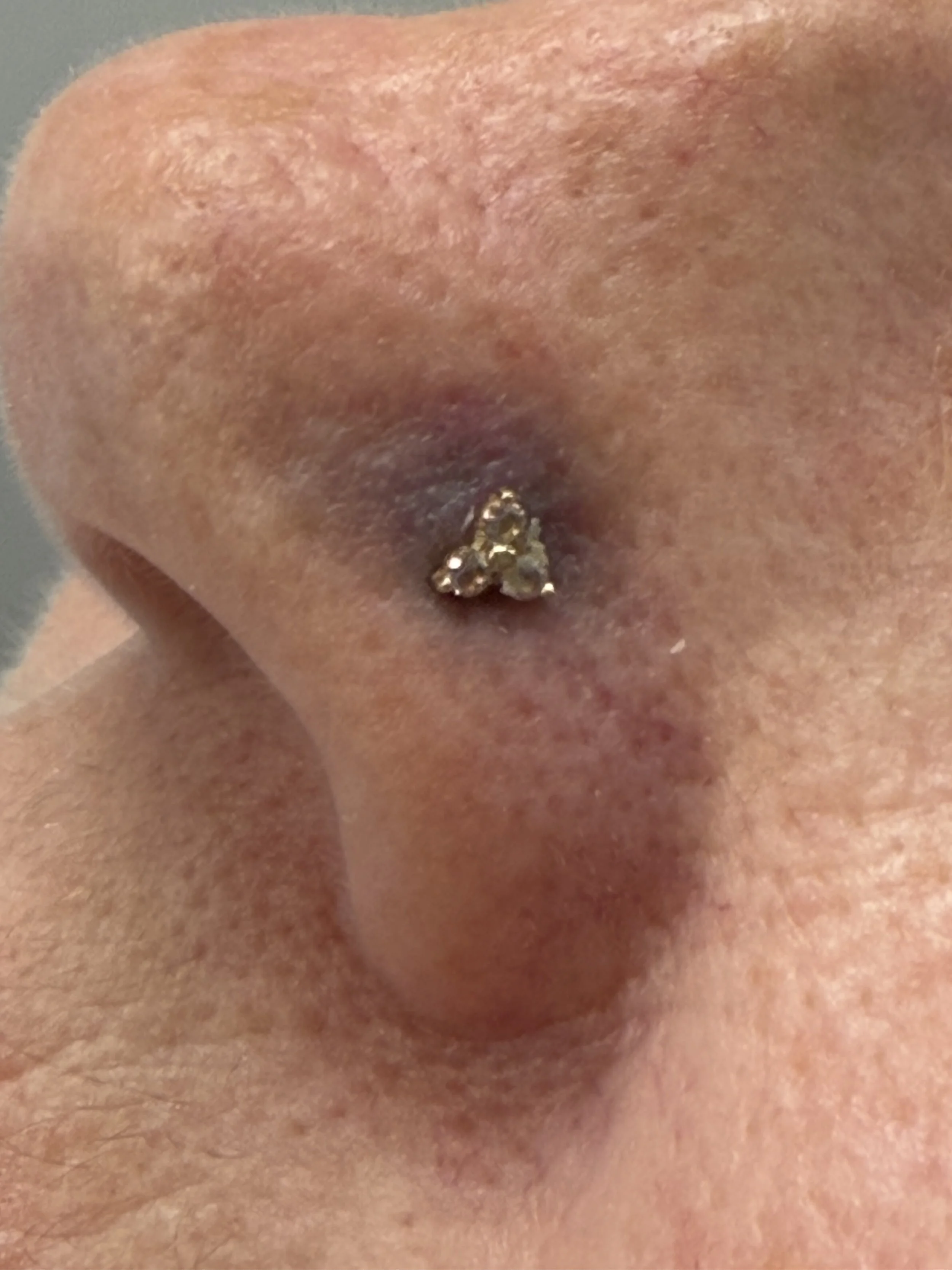 Close-up image of a person’s nose with a gold-colored nose ring or piercing.