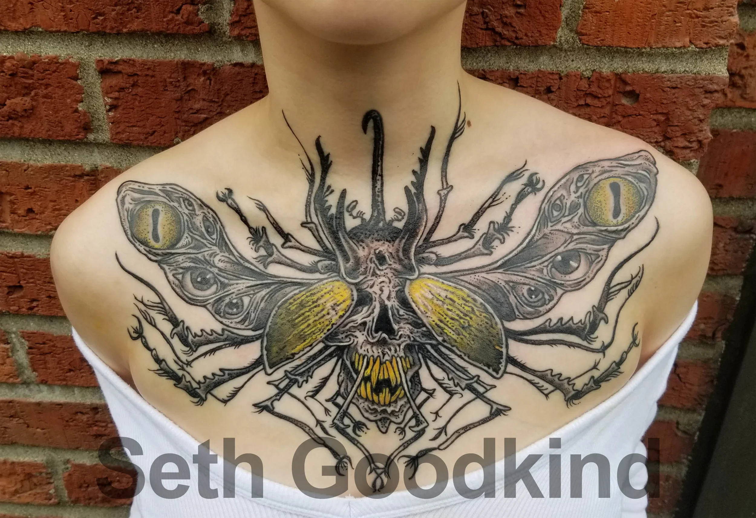 Beetle+chest.webp