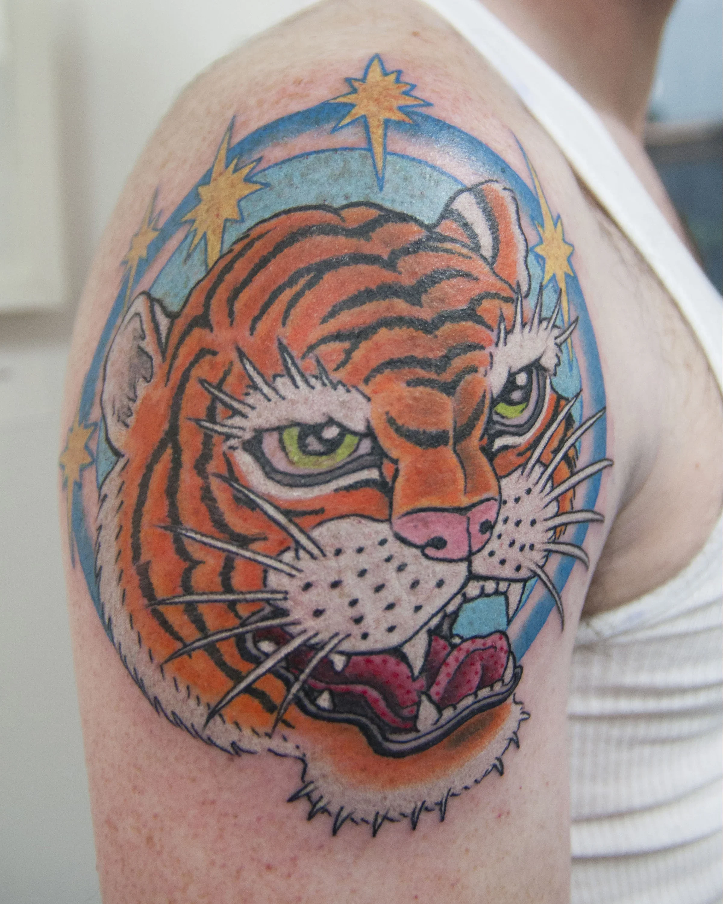 8x10george_tiger_1.webp