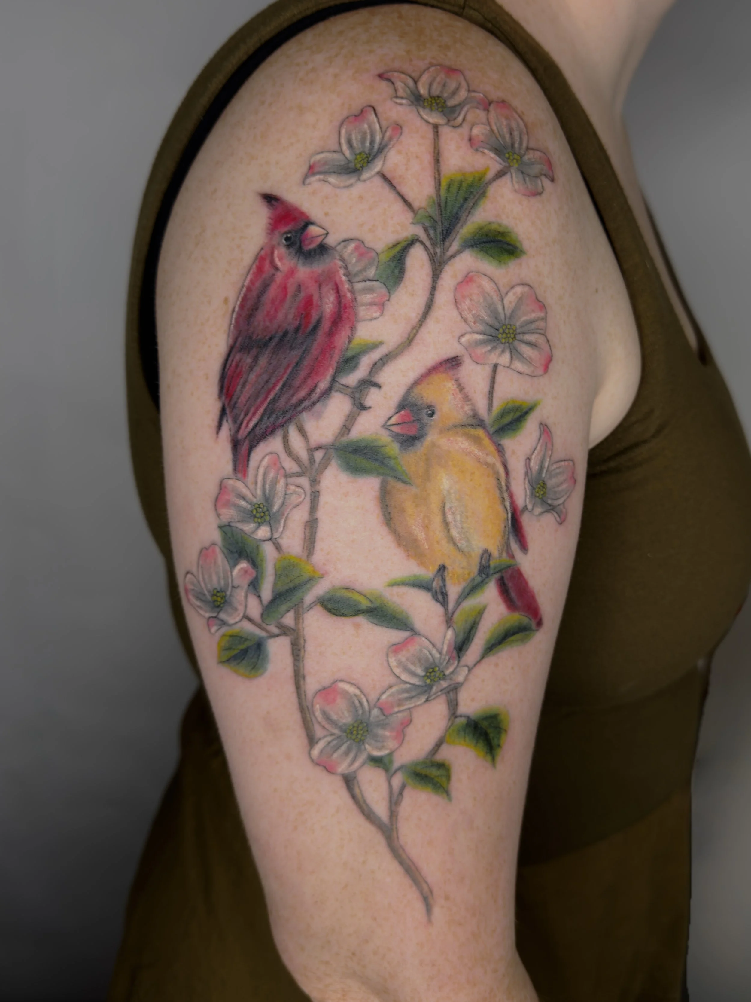 birds and dogwood.jpg