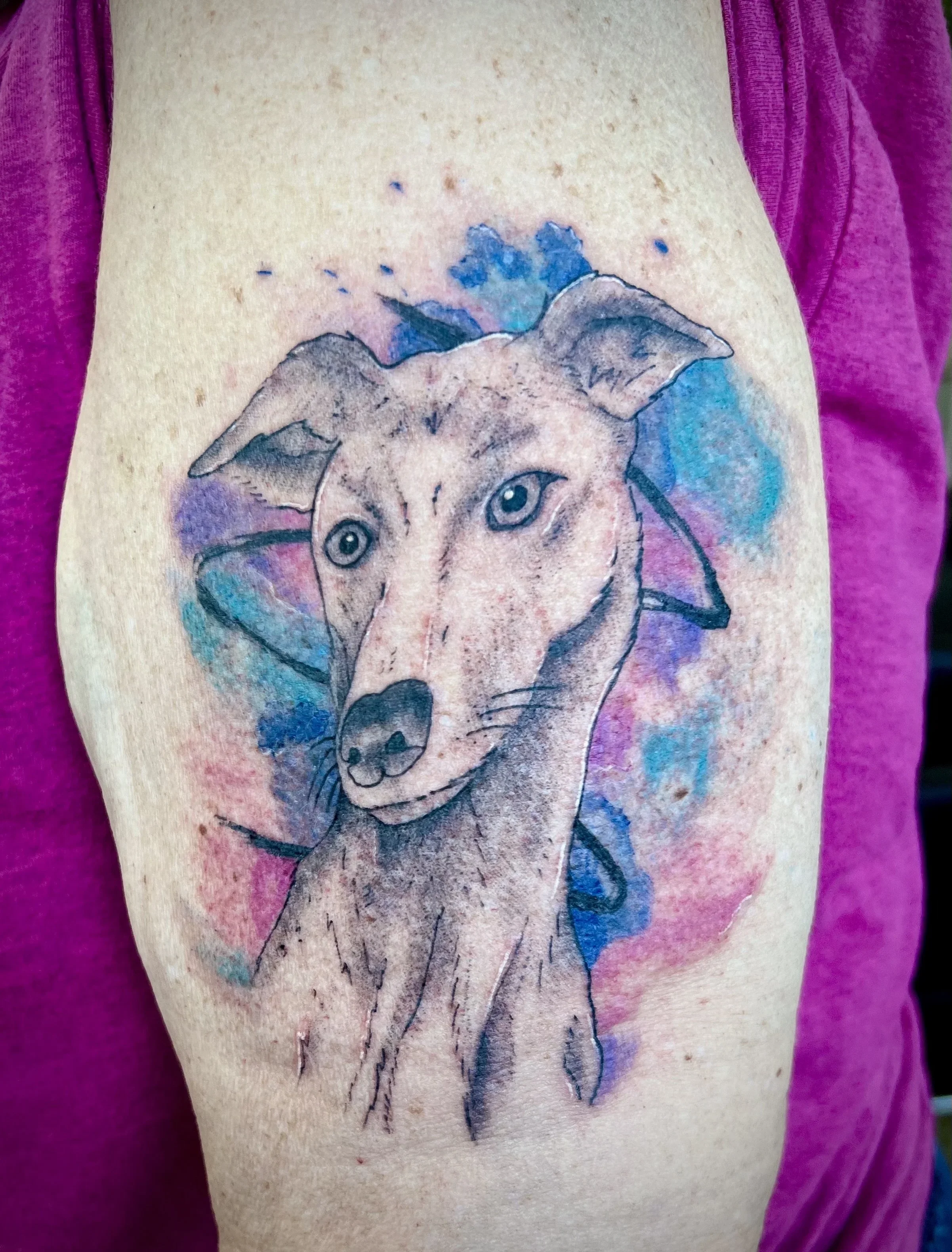 Dog+watercolor+.webp