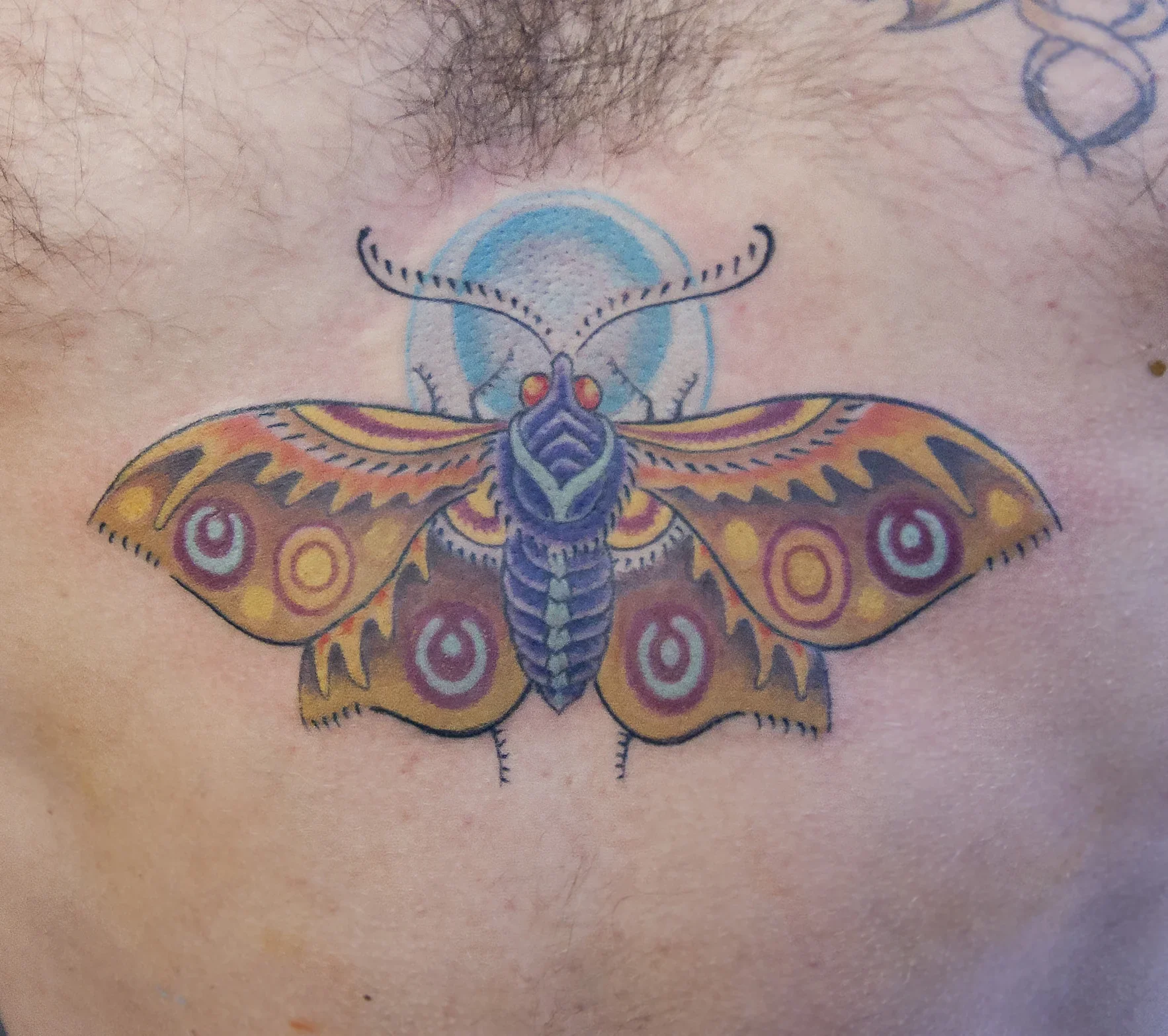 george_yellowmoth.webp