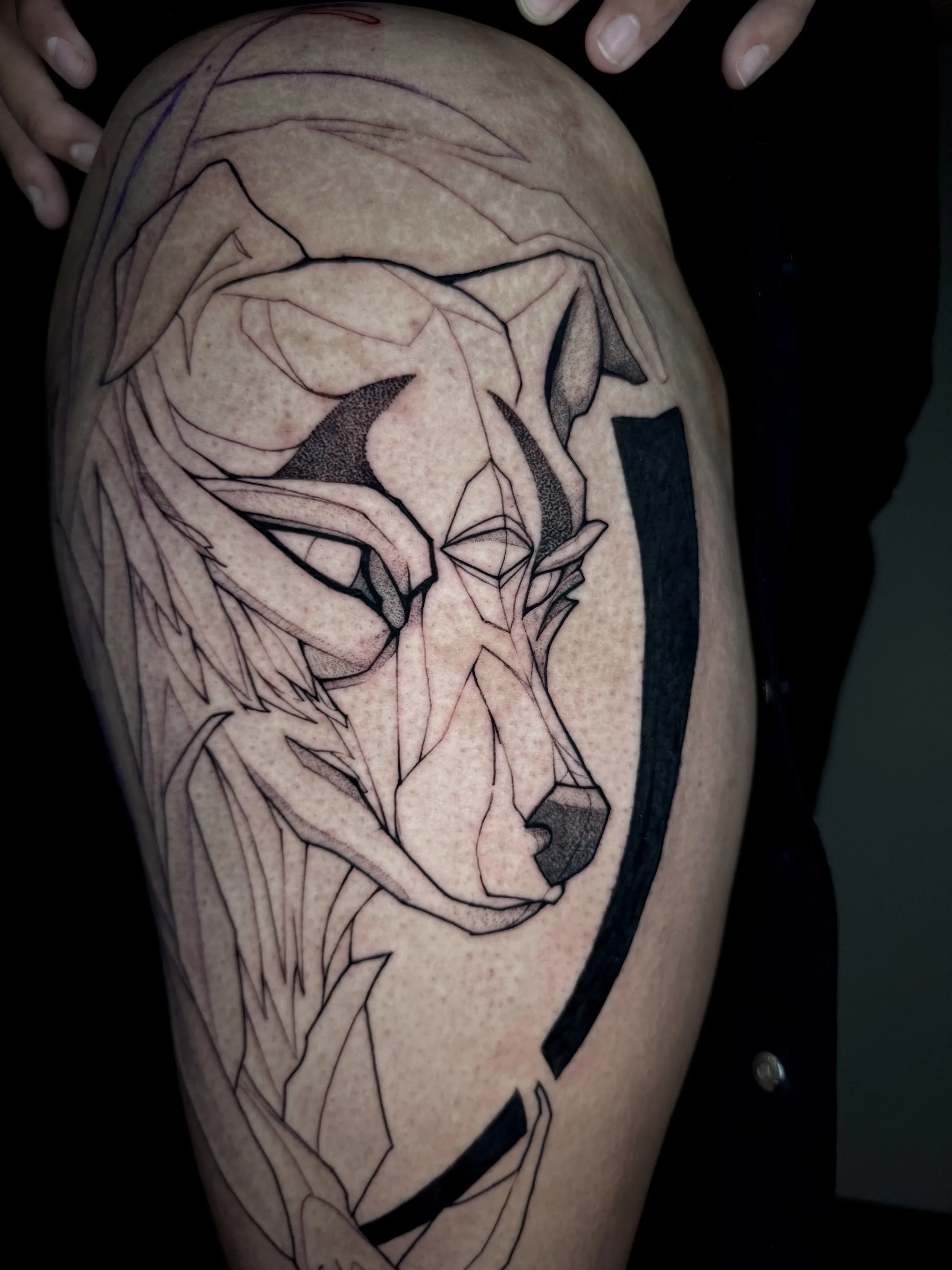 IMG_1335.webp