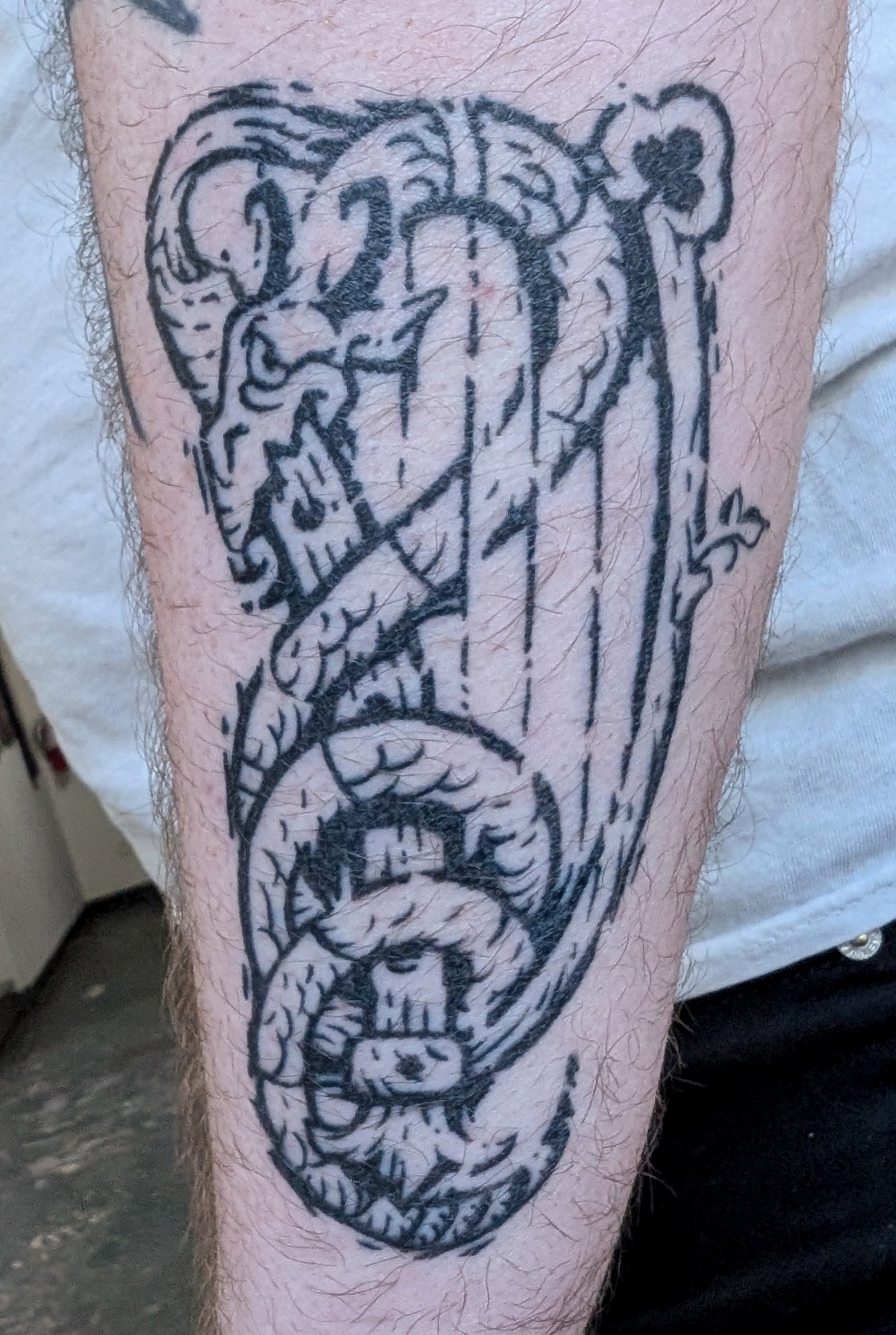 WoodcutSerpent_EP.jpg