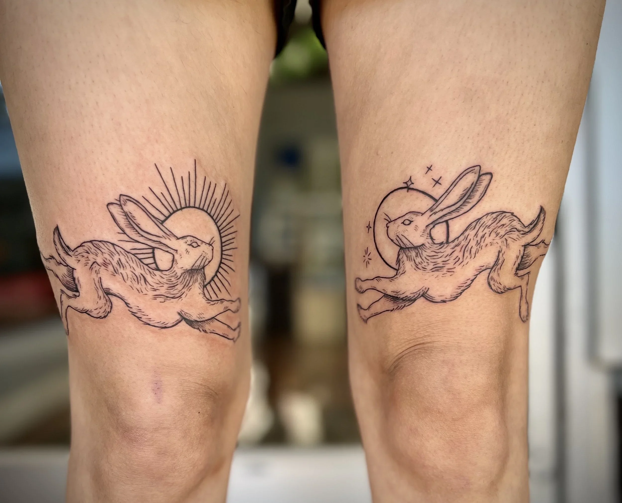 Hares+.webp