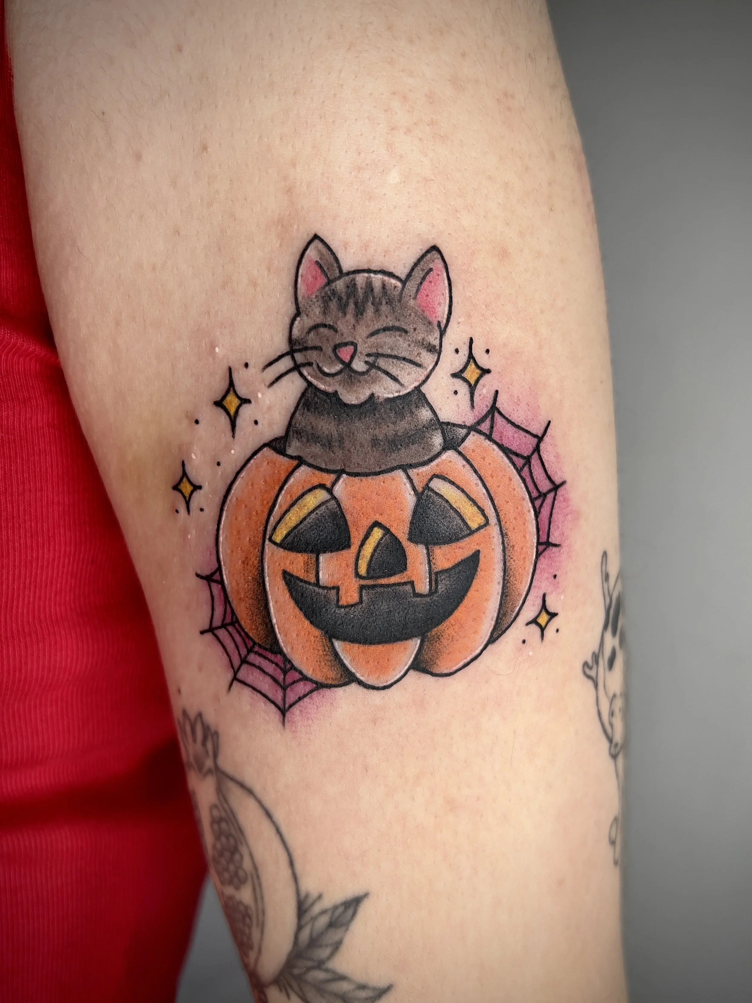 cat pumpkin.jpg