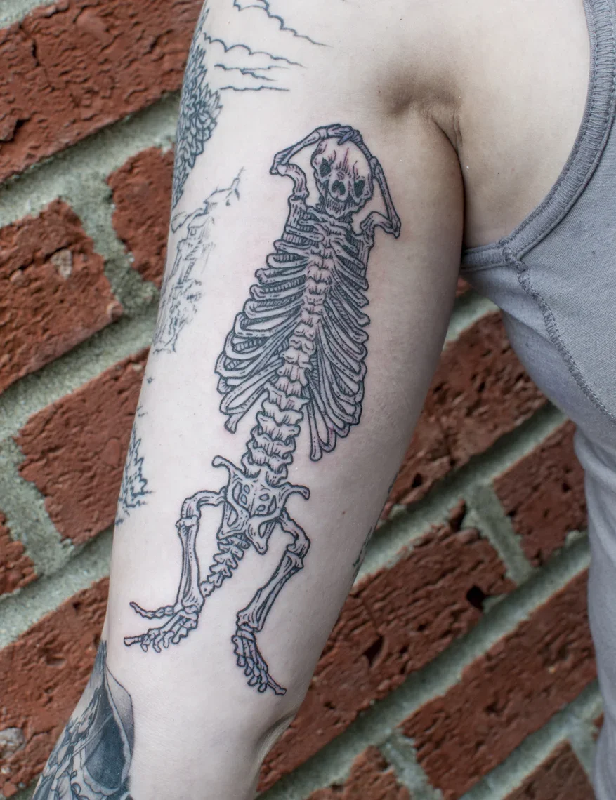Jason_otterskeleton.webp