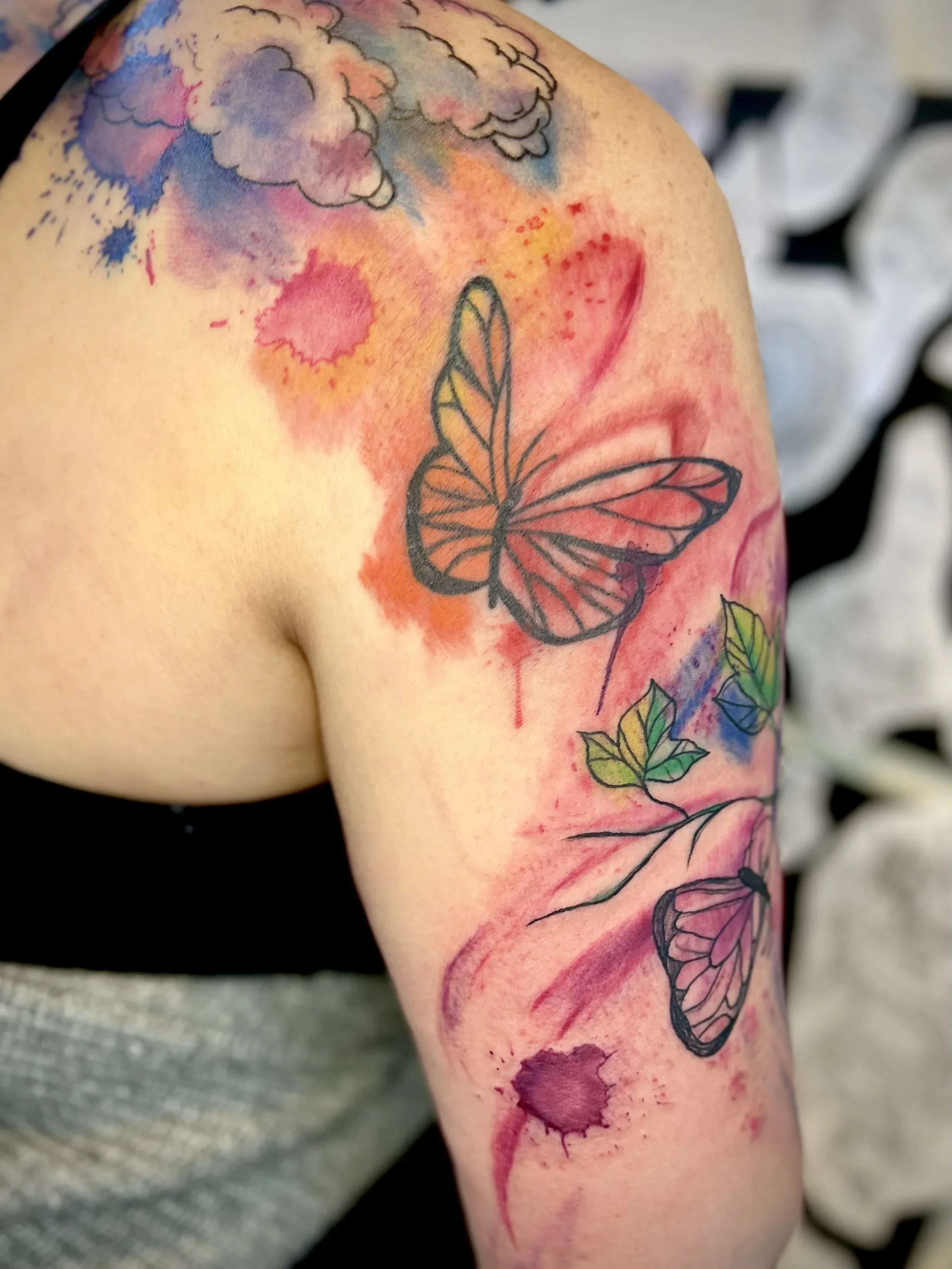 Butterflies+.webp
