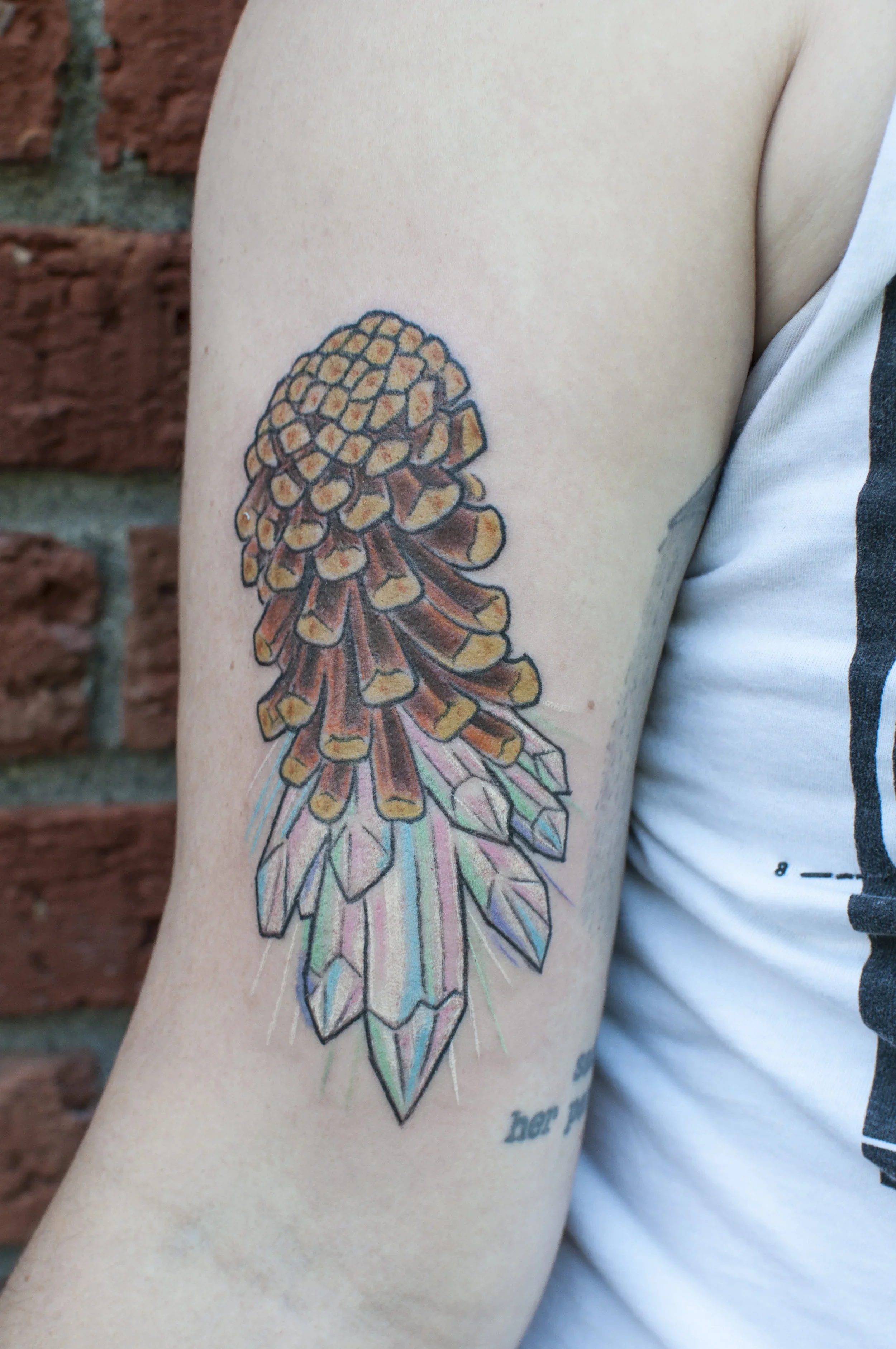 george_crystalpinecone.webp