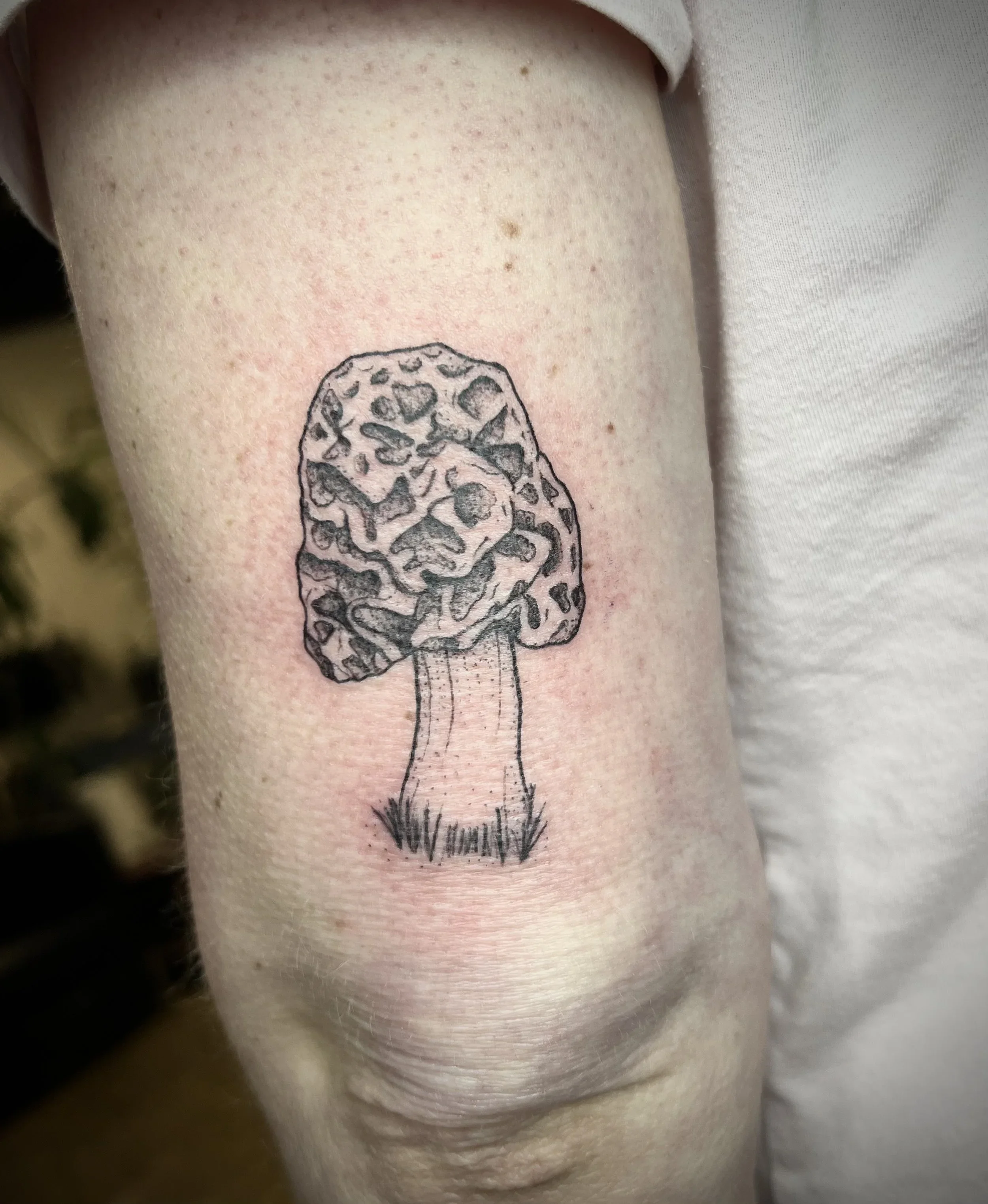 Mushroom+arm+.webp