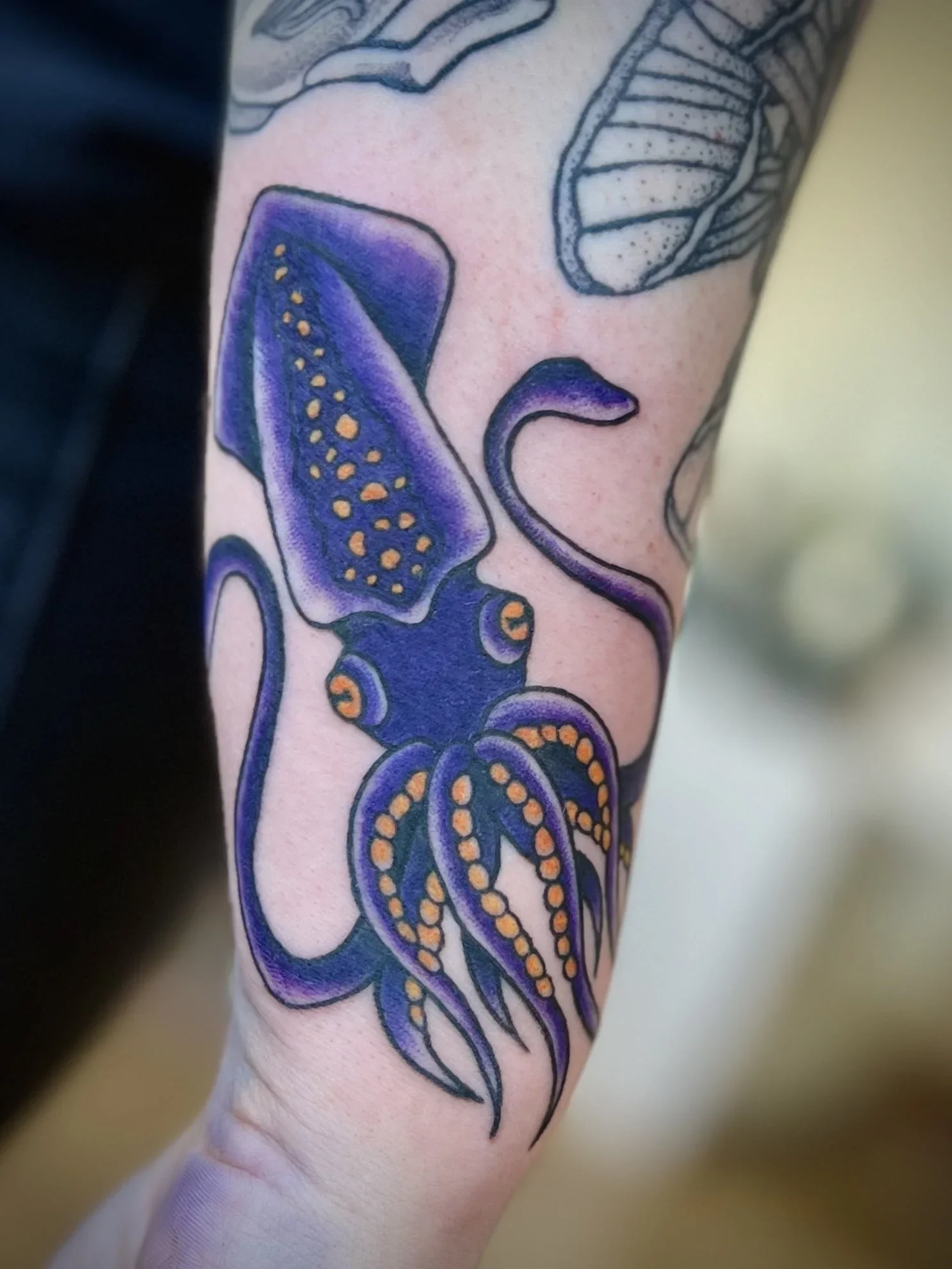 Squid+.webp