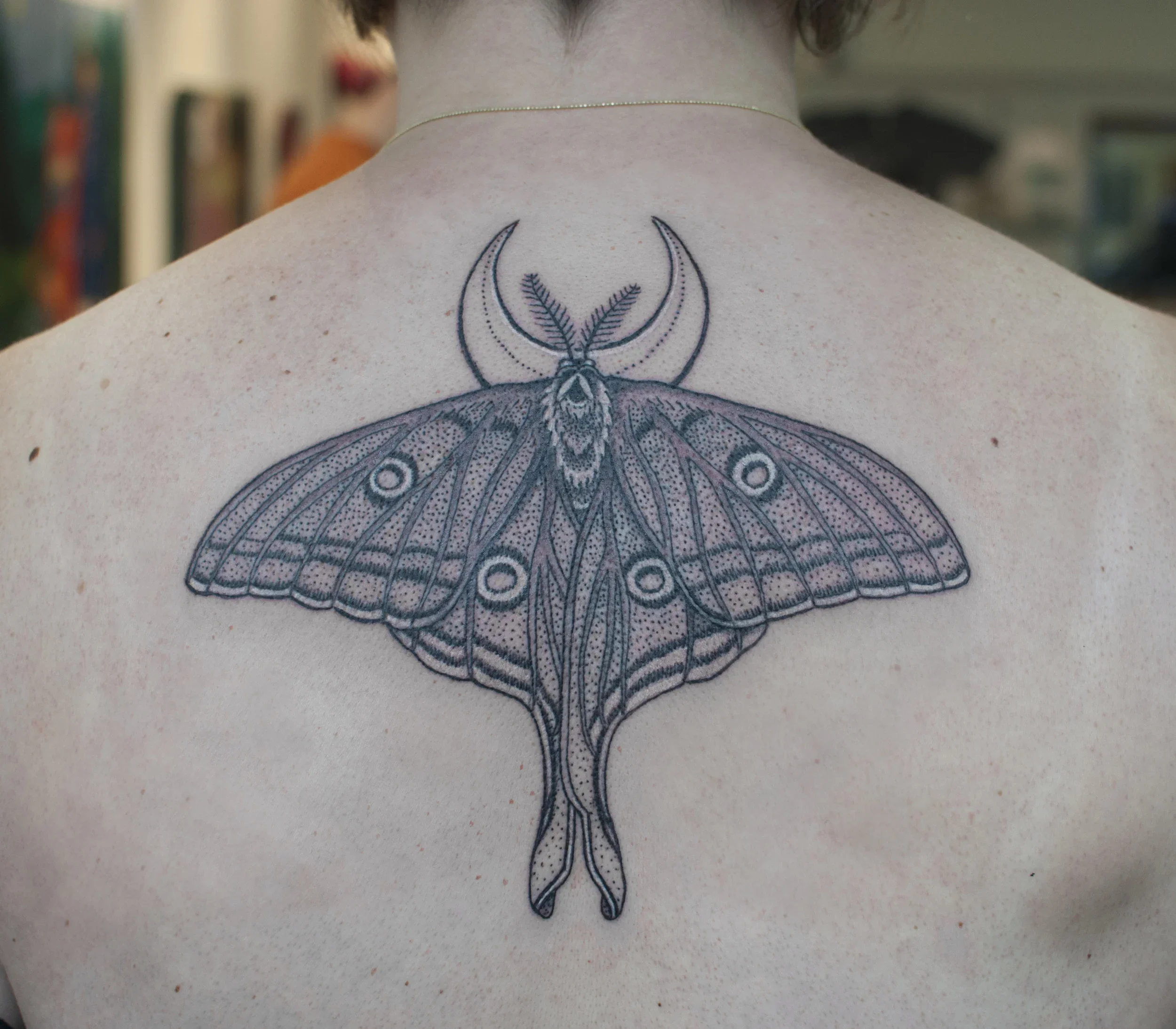 george_blackworkmoth.webp