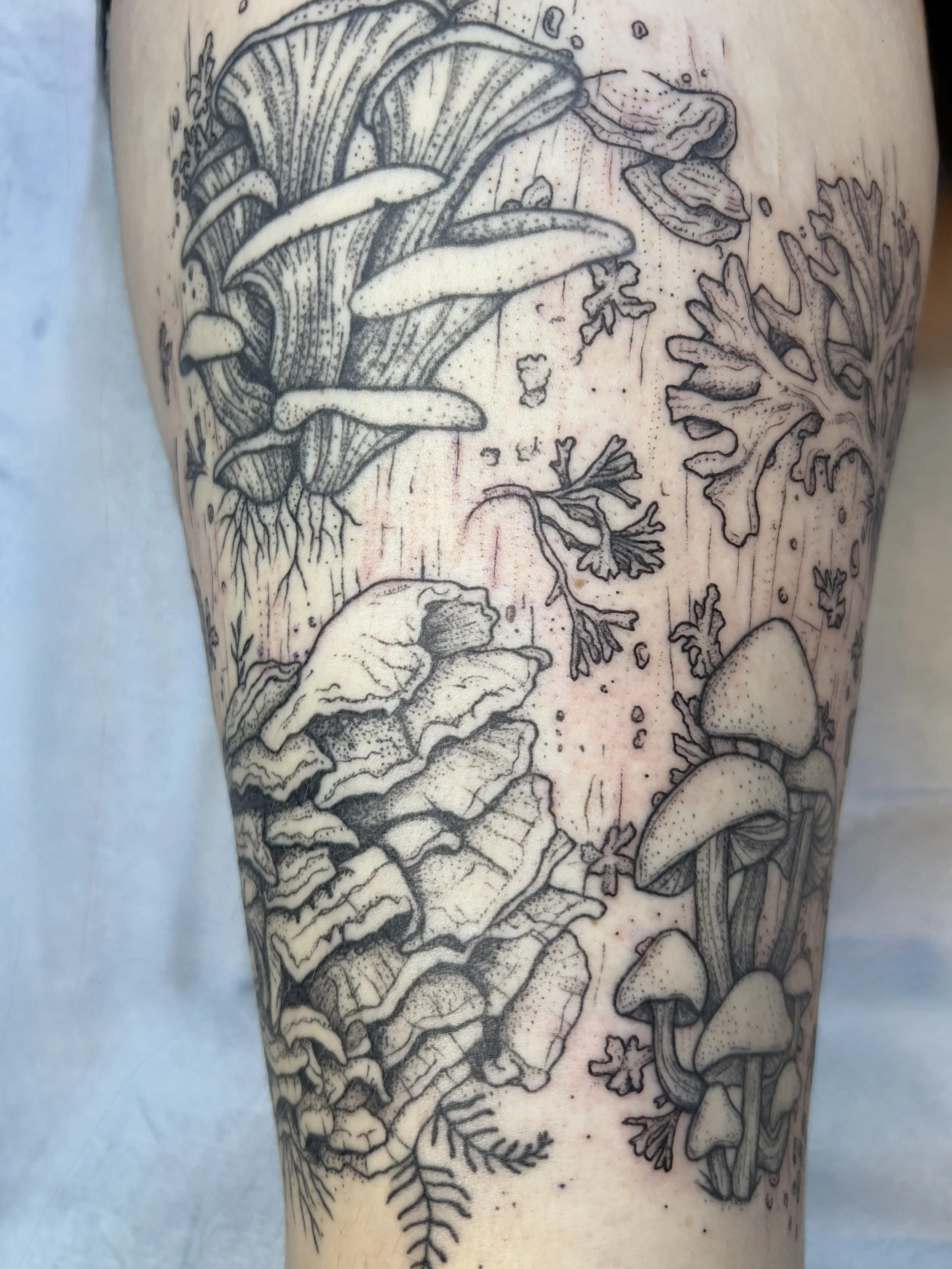 mushroom leg sleeve.jpg