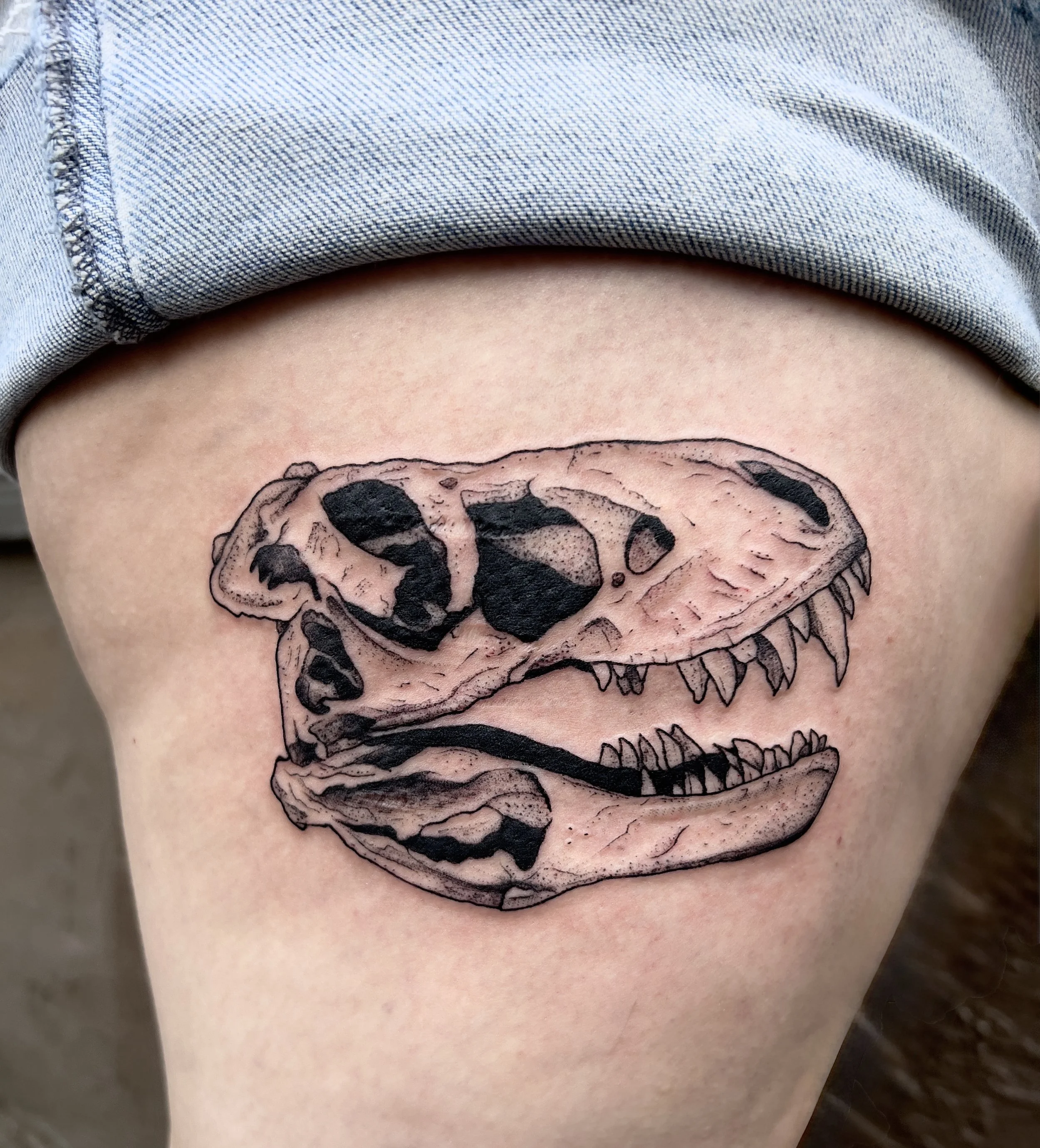 dino skull.jpg