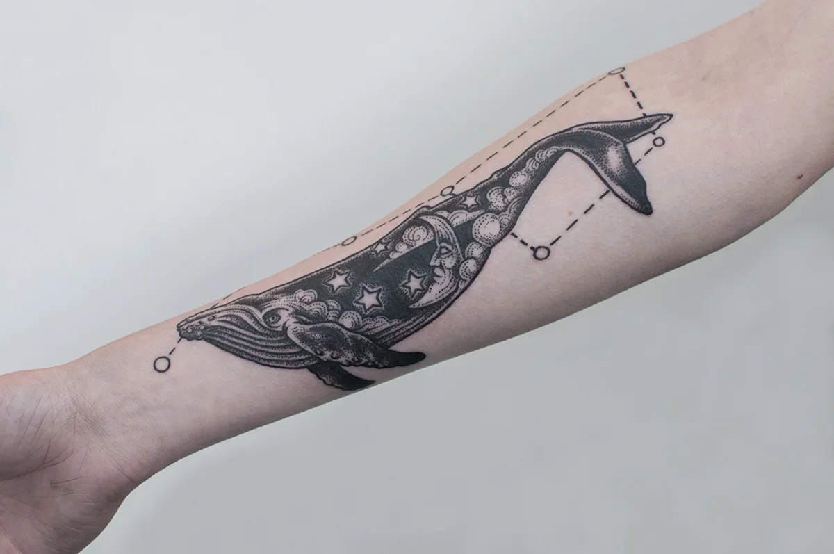 jason_whale+copy.webp